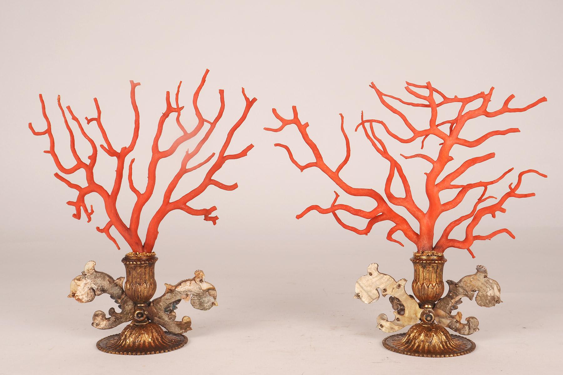 A pair of branches of Mediterranean red coral (Corallium Rubrum), Sicily 1790 For Sale 10