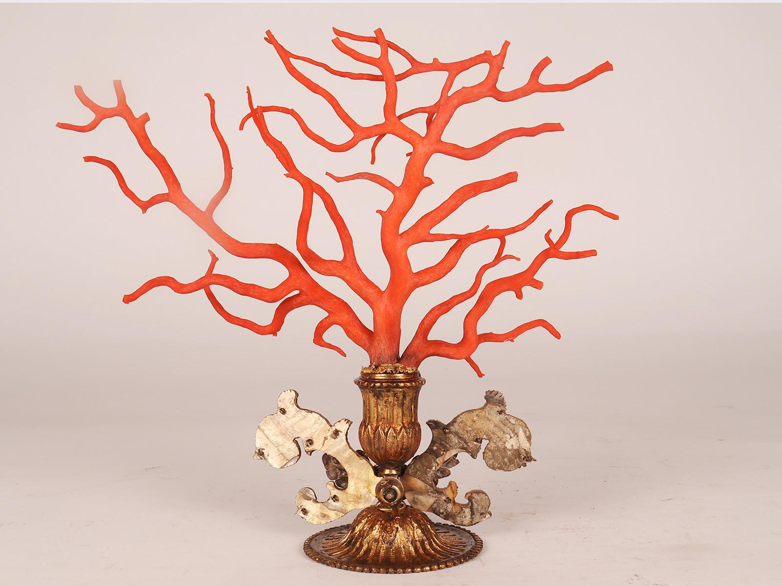 A pair of branches of Mediterranean red coral (Corallium Rubrum), Sicily 1790 For Sale 2