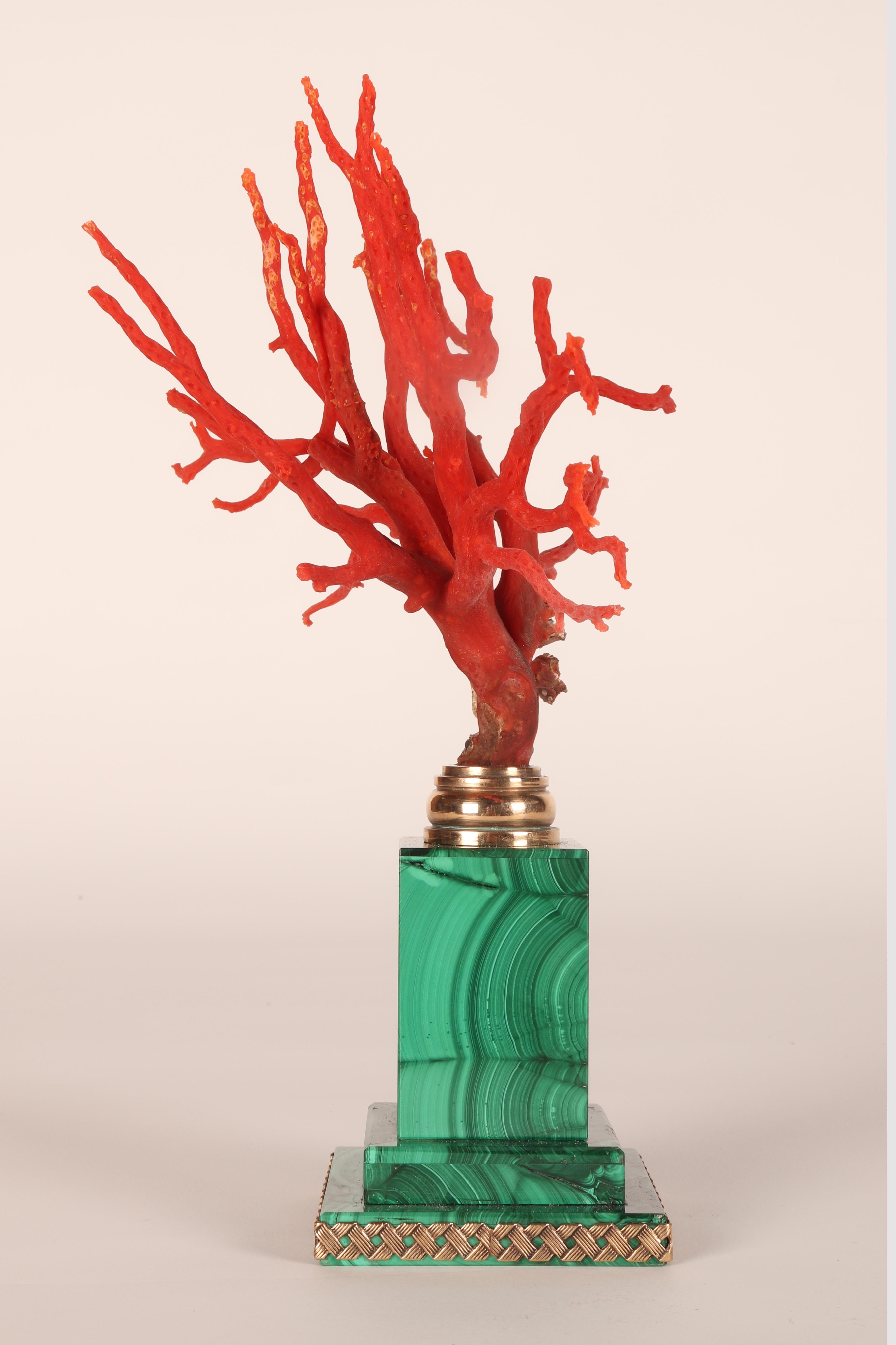A pair of branches of Mediterranean red coral, on malachite bases, Italy 1880s. 6