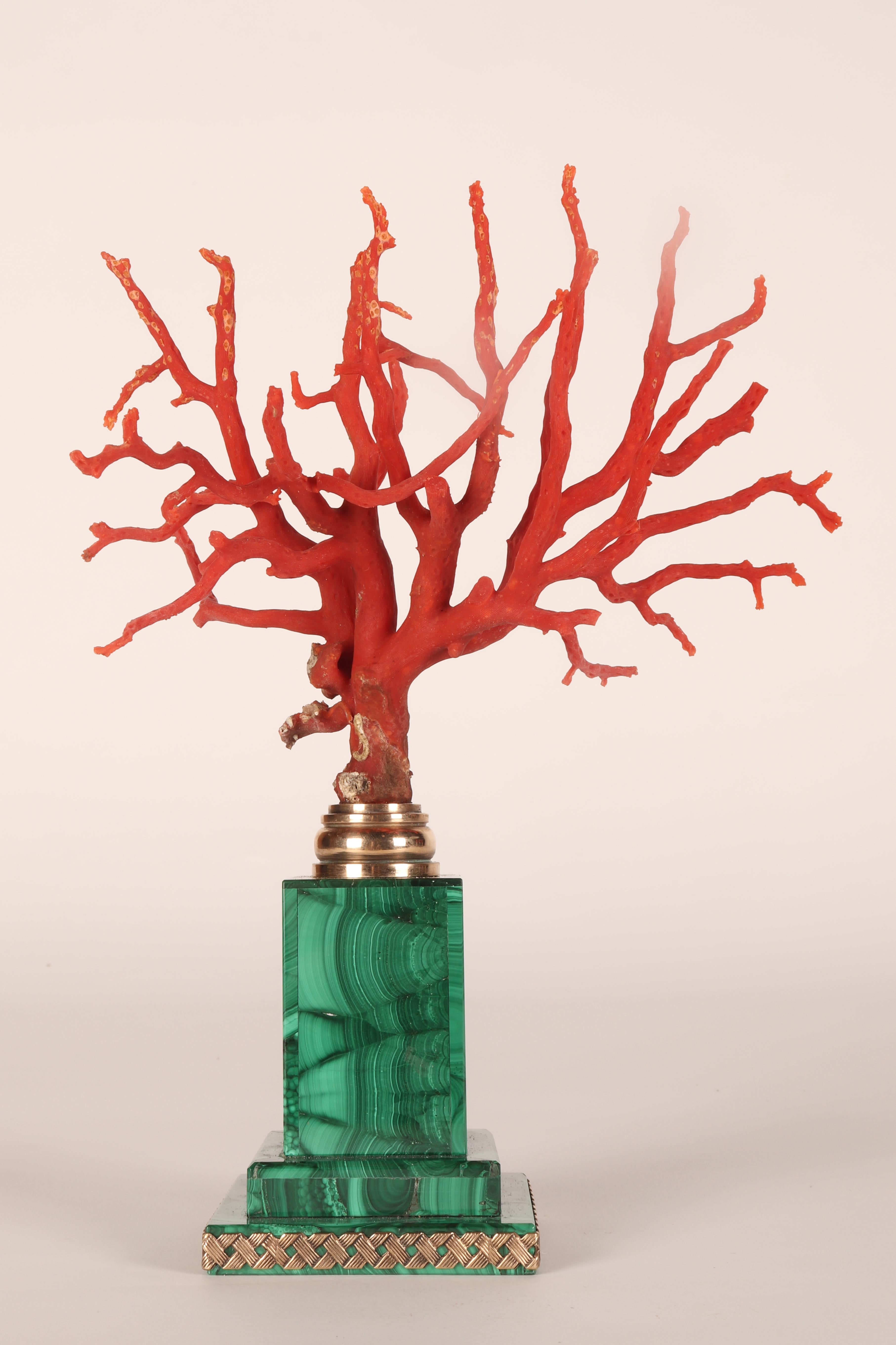 A pair of branches of Mediterranean red coral, on malachite bases, Italy 1880s. 7