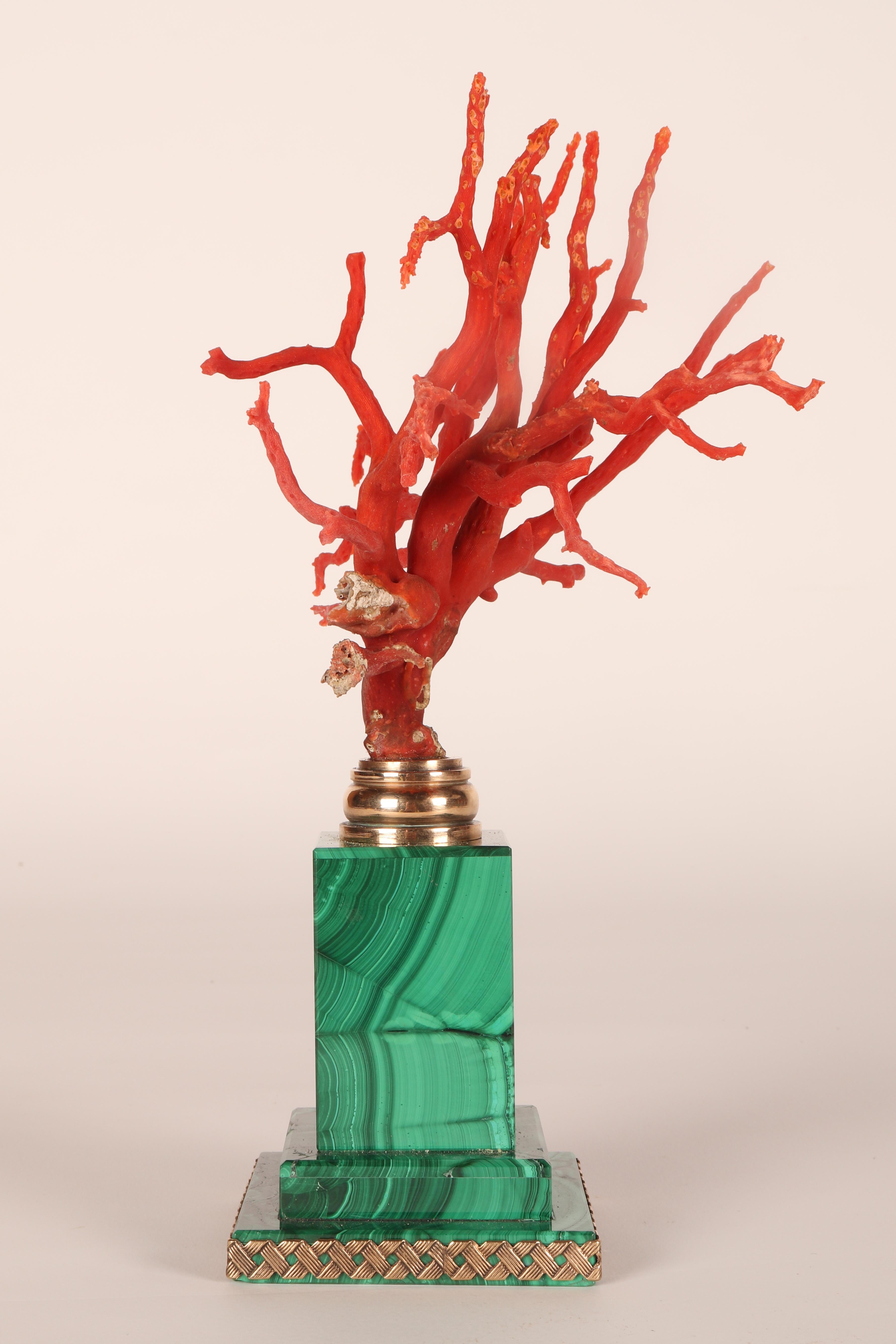 A pair of branches of Mediterranean red coral, on malachite bases, Italy 1880s. 8