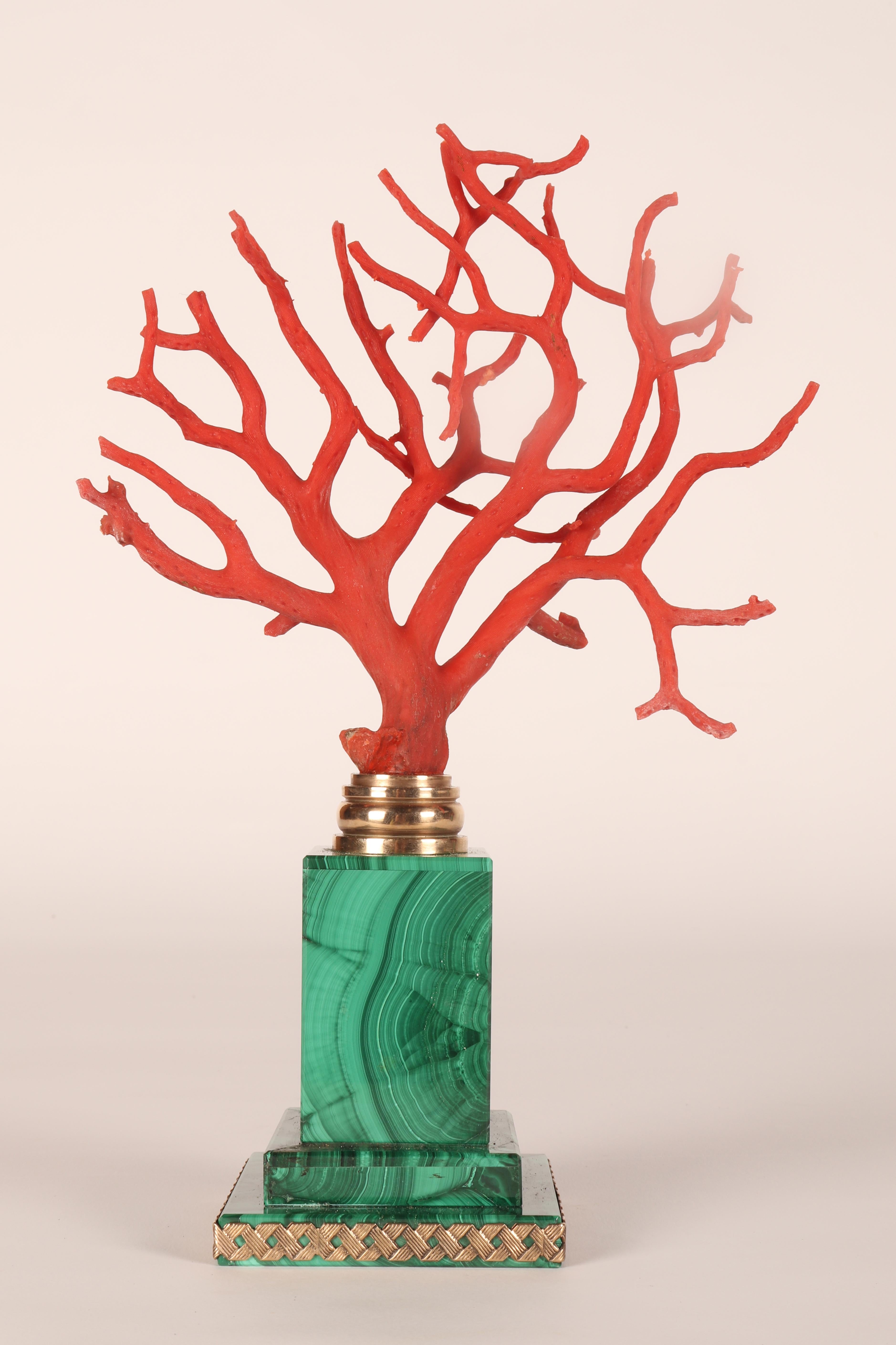 Italian A pair of branches of Mediterranean red coral, on malachite bases, Italy 1880s.
