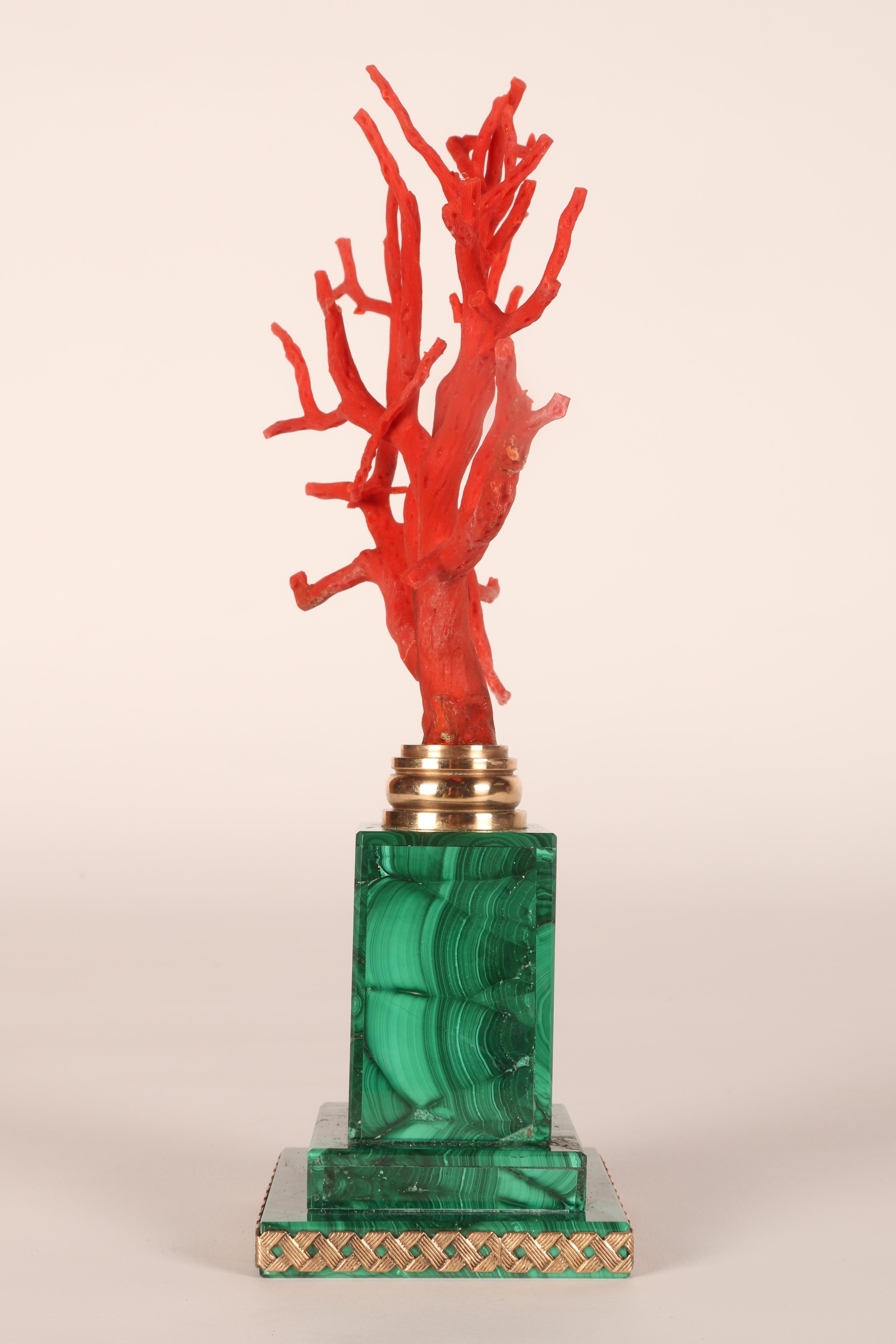 A pair of branches of Mediterranean red coral, on malachite bases, Italy 1880s. In Good Condition In Milan, IT
