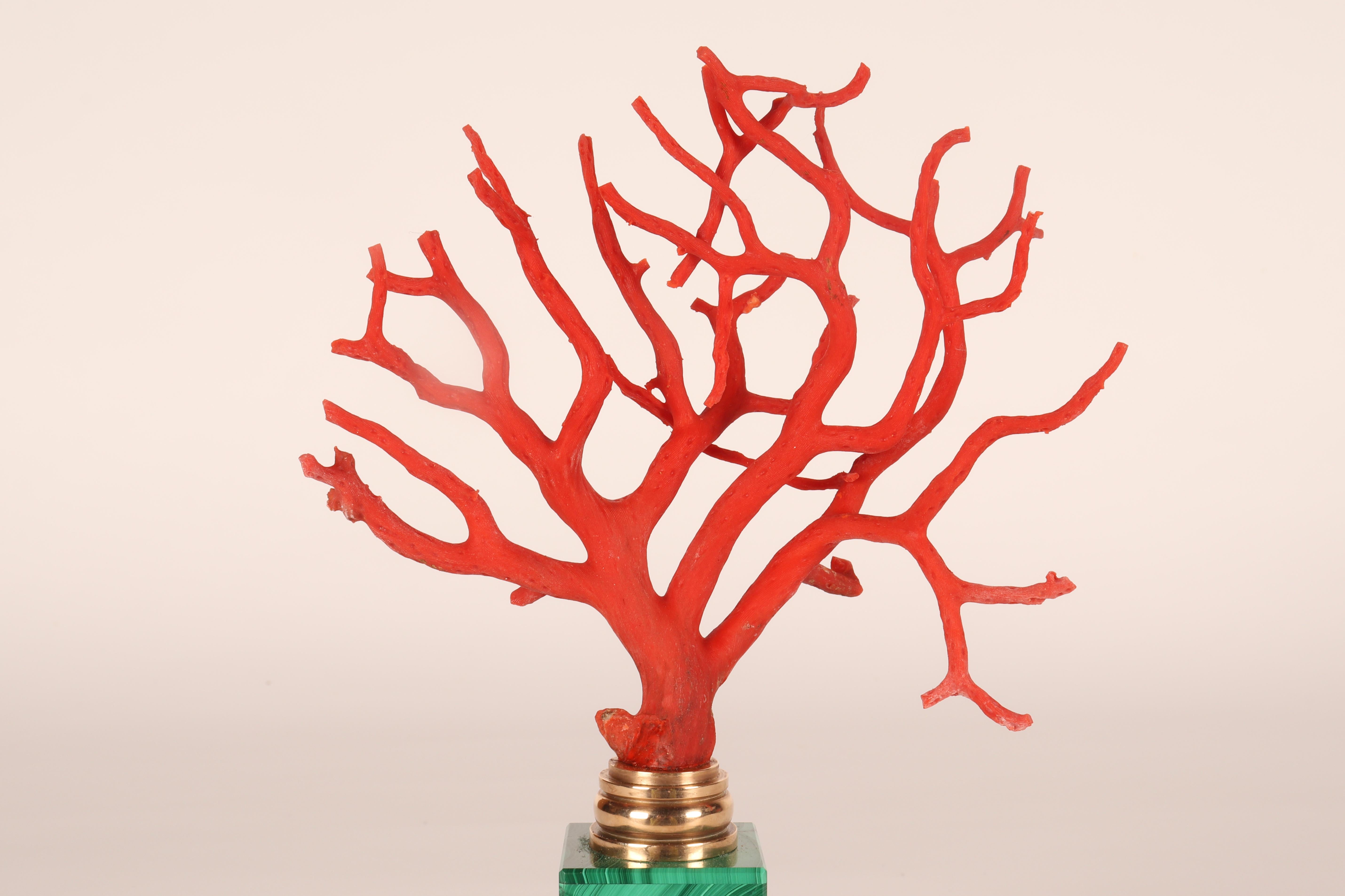 A pair of branches of Mediterranean red coral, on malachite bases, Italy 1880s. 2