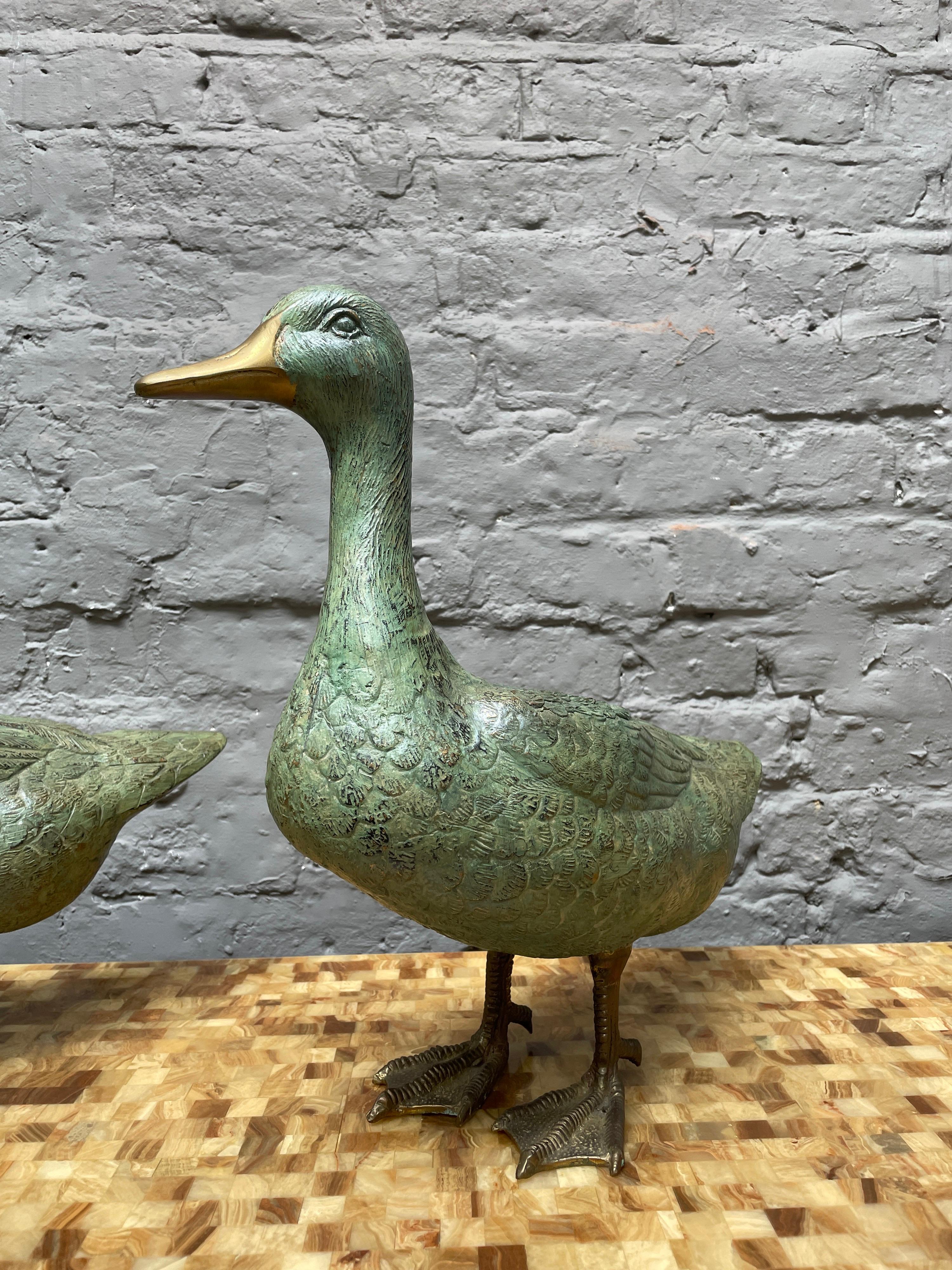 A large pair of Ducks in brass with verdigris finish, the bills and feet in brass the bodies in verdigris. Well cast and naturalistic 

French mid 20th century.