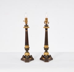 A Pair of Bronze Neoclassical Lamps