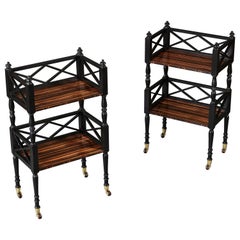 A Pair of Calamander Wood Etageres