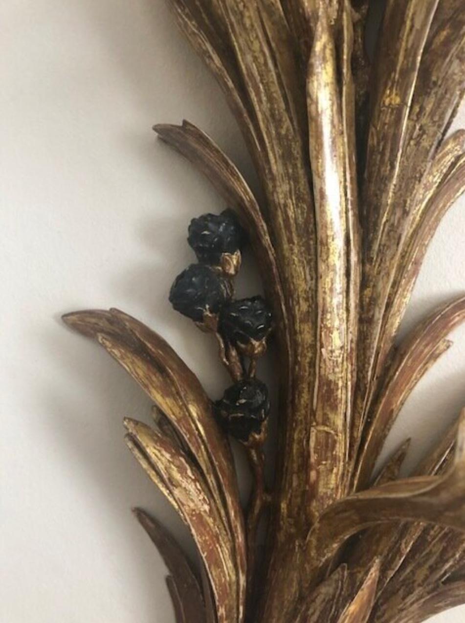 European Pair of Carved and Gilded Regency Wall Lights For Sale