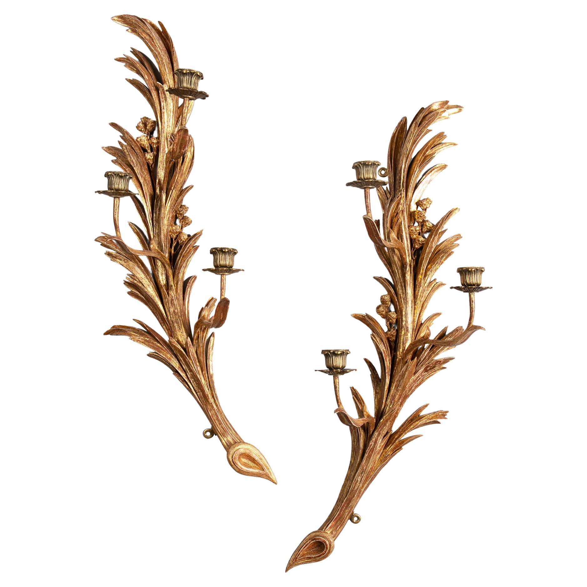 Pair of Carved and Gilded Regency Wall Lights For Sale