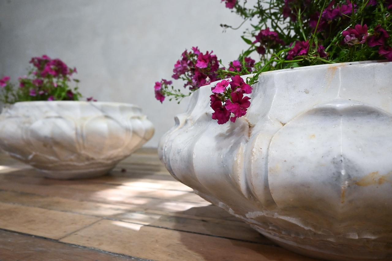 Pair of Carved Lotus Form Marble Jardinieres, Planters For Sale 4