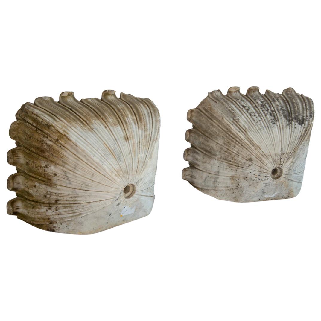 Paar geschnitzte Muschel-Pflanzgefäße aus Marmor