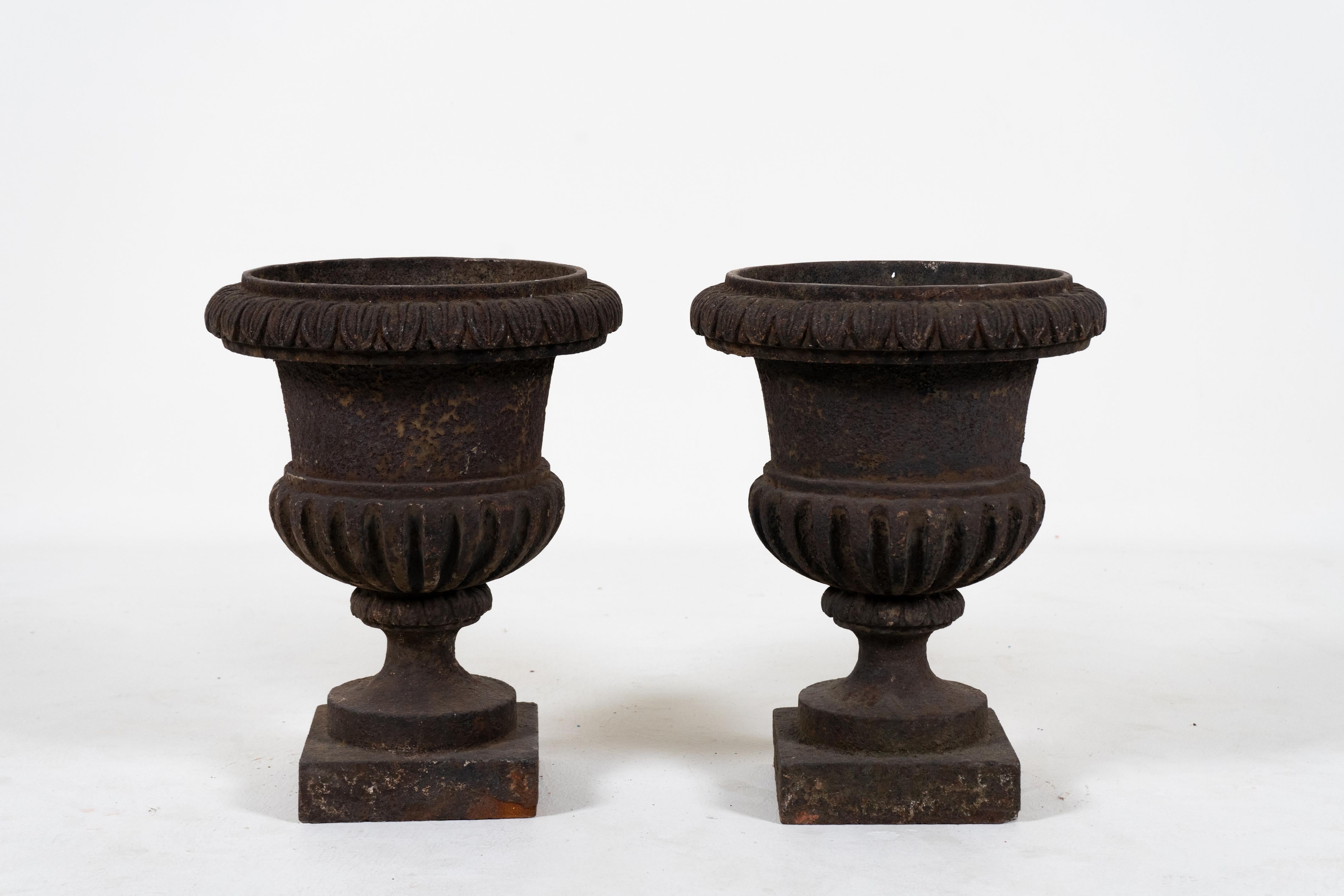 Dieses Paar Gärtner aus dem frühen 20. Jahrhundert ist aus Gusseisen gefertigt und weist eine reiche und erdige Patina auf. Diese Urnen sind zwar im Campana-Stil gehalten, aber ungewöhnlich robust und vereinfacht. Das Design der gelappten Böden ist