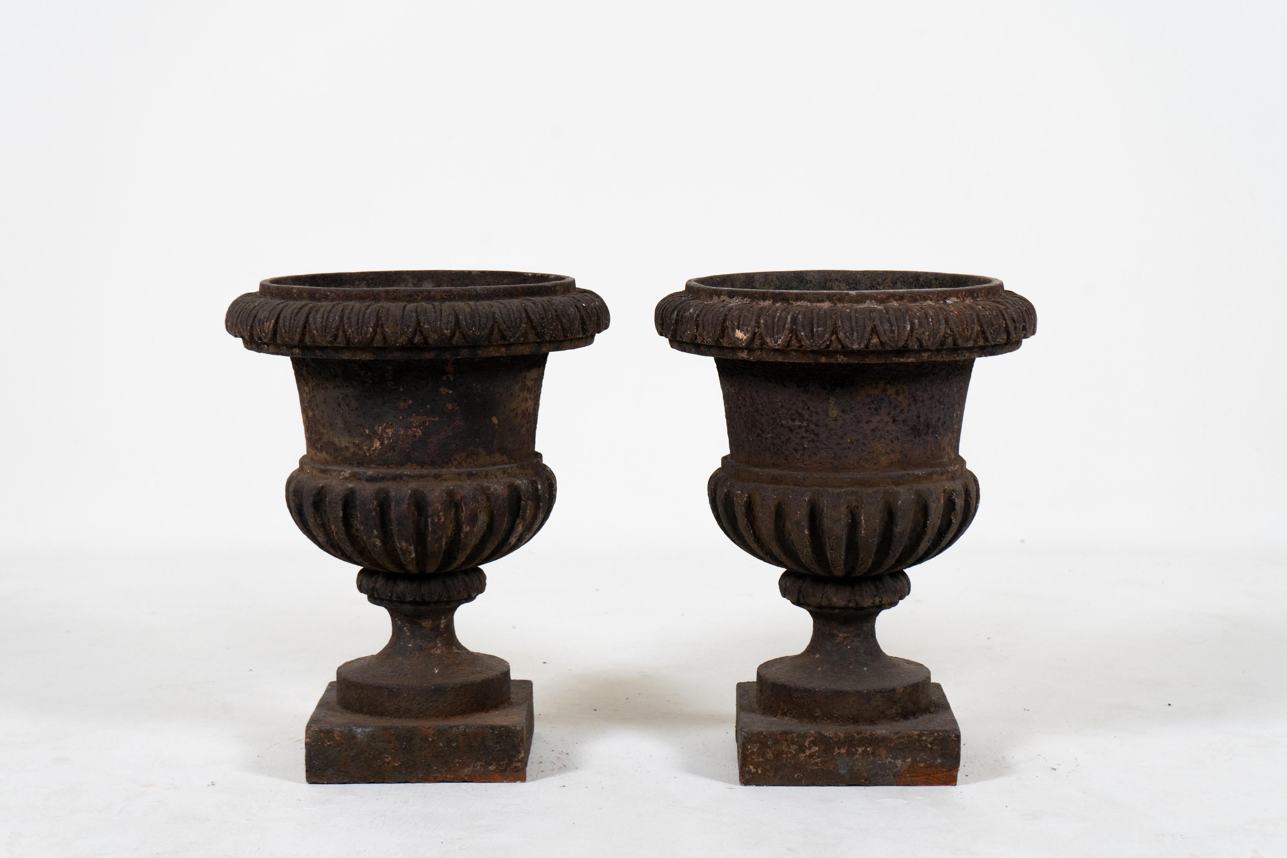 20th Century A Pair of Cast Iron French Garden Urns, c.1900 For Sale