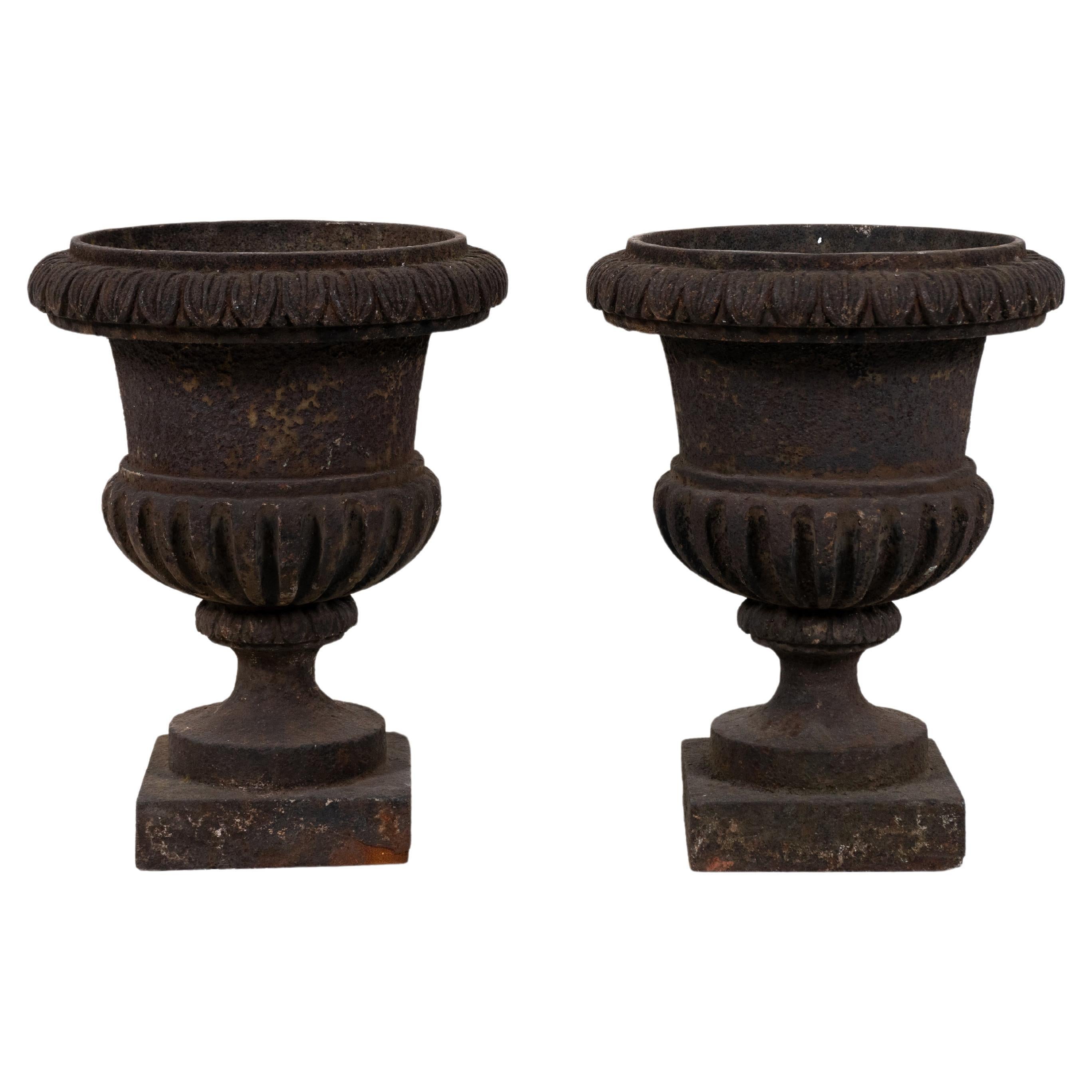 A Pair of Cast Iron French Garden Urns, c.1900 For Sale