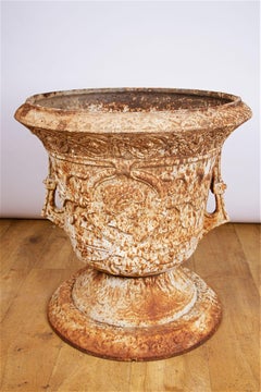 Pair of Cast Iron Garden Vases in the French Style, after the Antique
