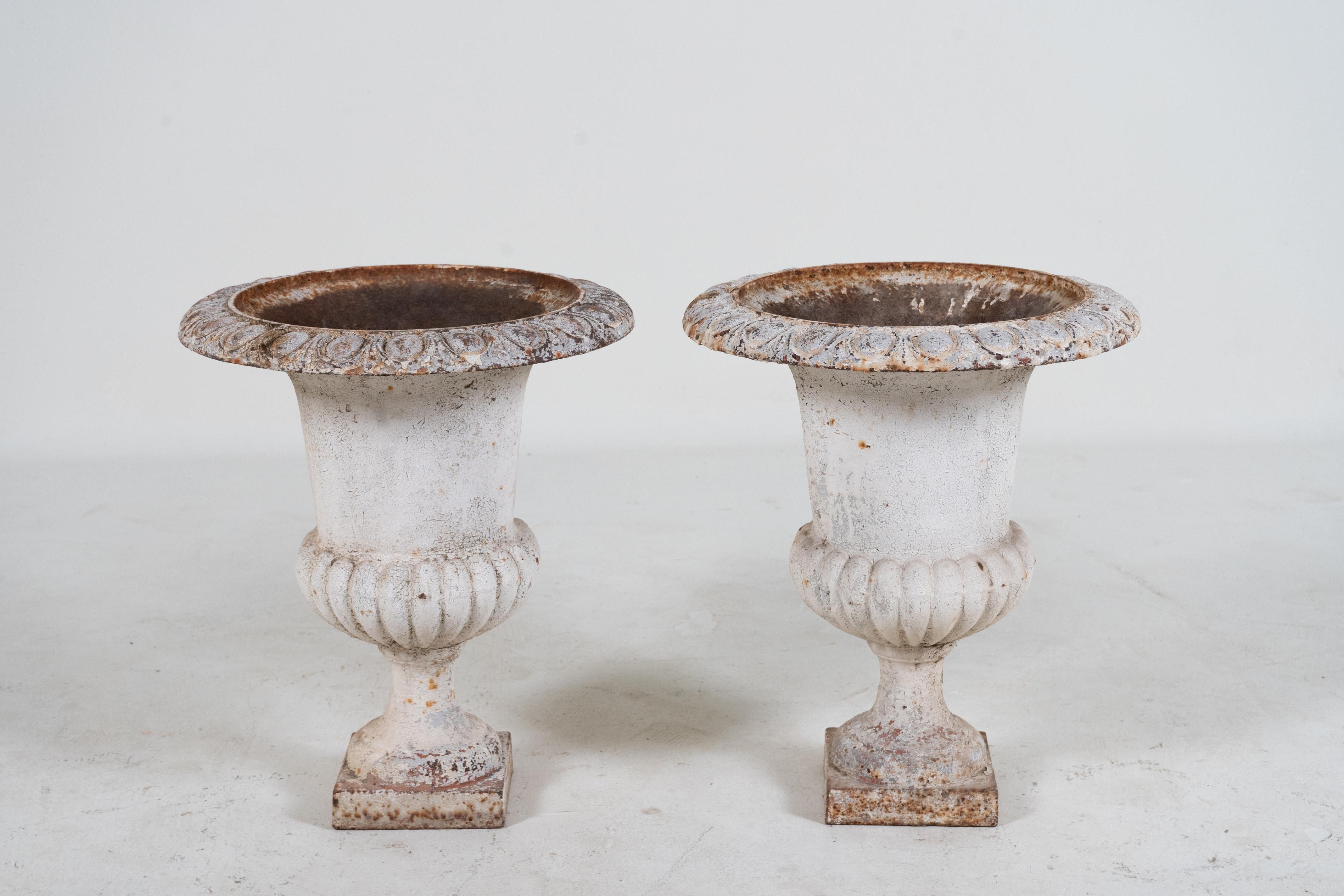 A superb pair of antique French cast iron garden urn planters circa 1880. These elegant campana jardinieres are the quintessential classic French garden urns. Originally used outdoors, these can be used indoors as dramatic accessories to traditional