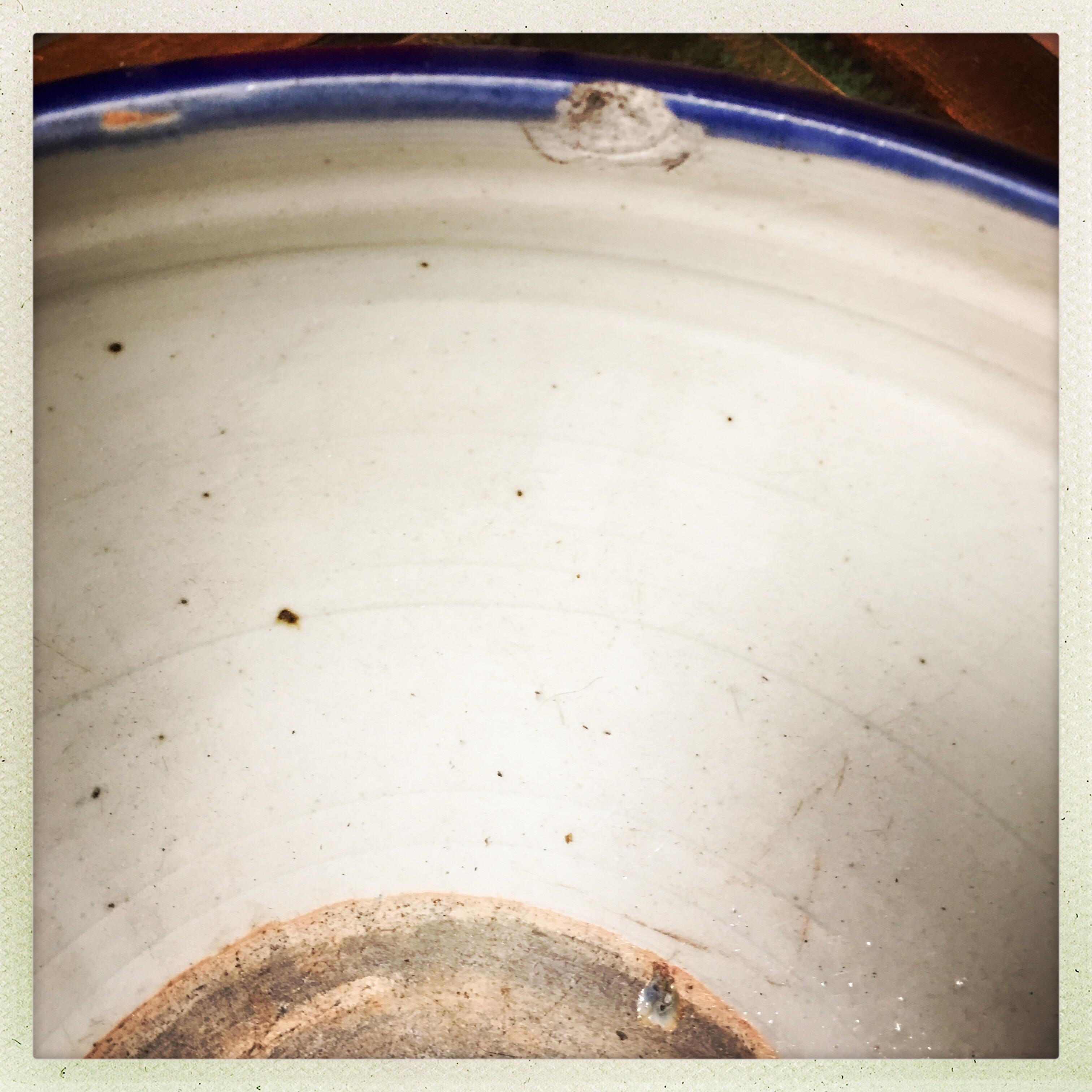 Pair of Chinese Cobalt Porcelain Bowls 1