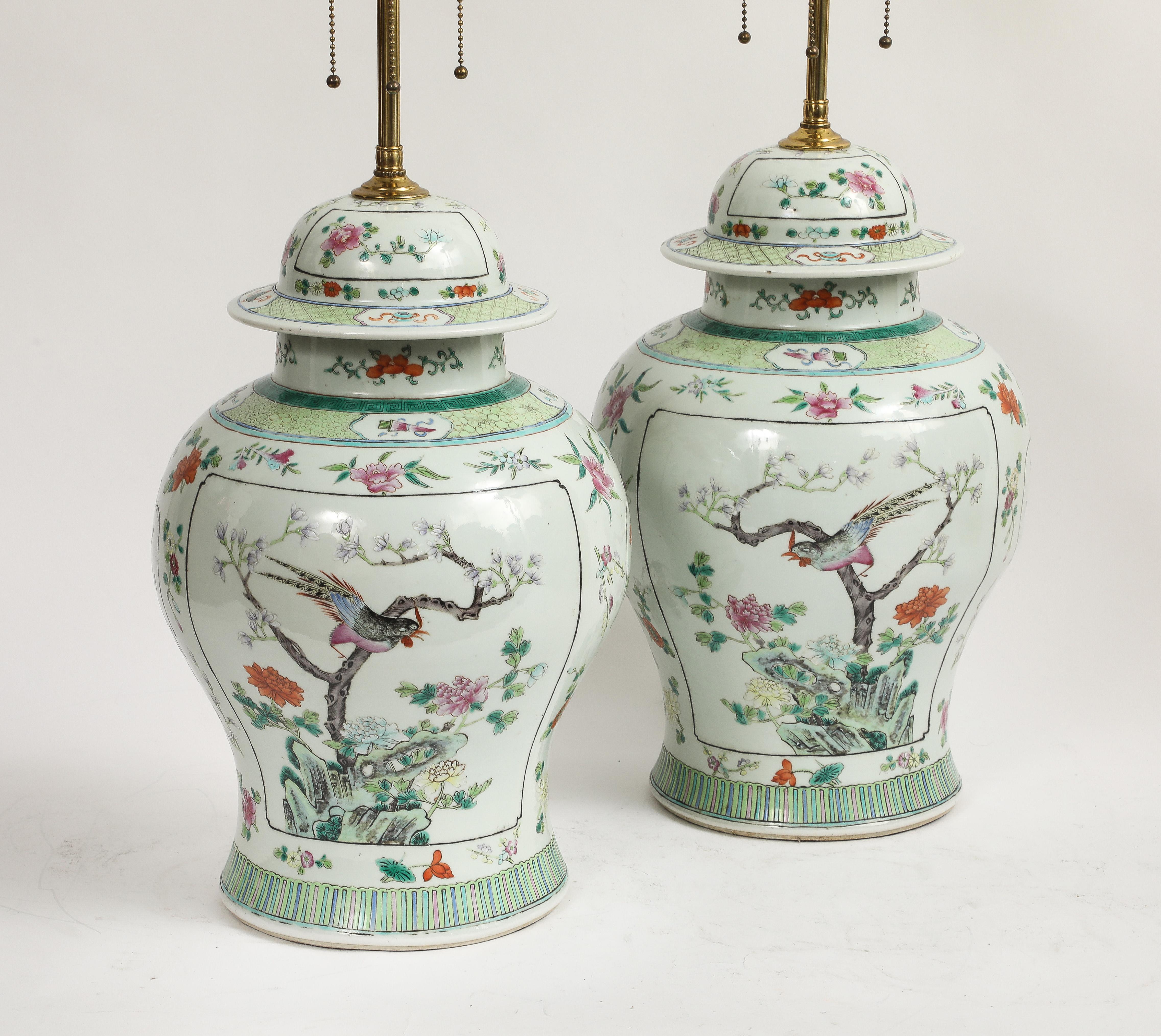 Chinese Export A Pair of Chinese Famille Verte Porcelain Covered Ginger Jars Mounted as Lamps For Sale
