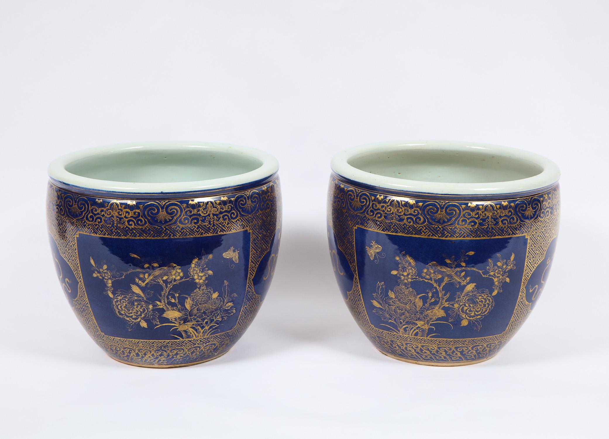 decorative fish bowls