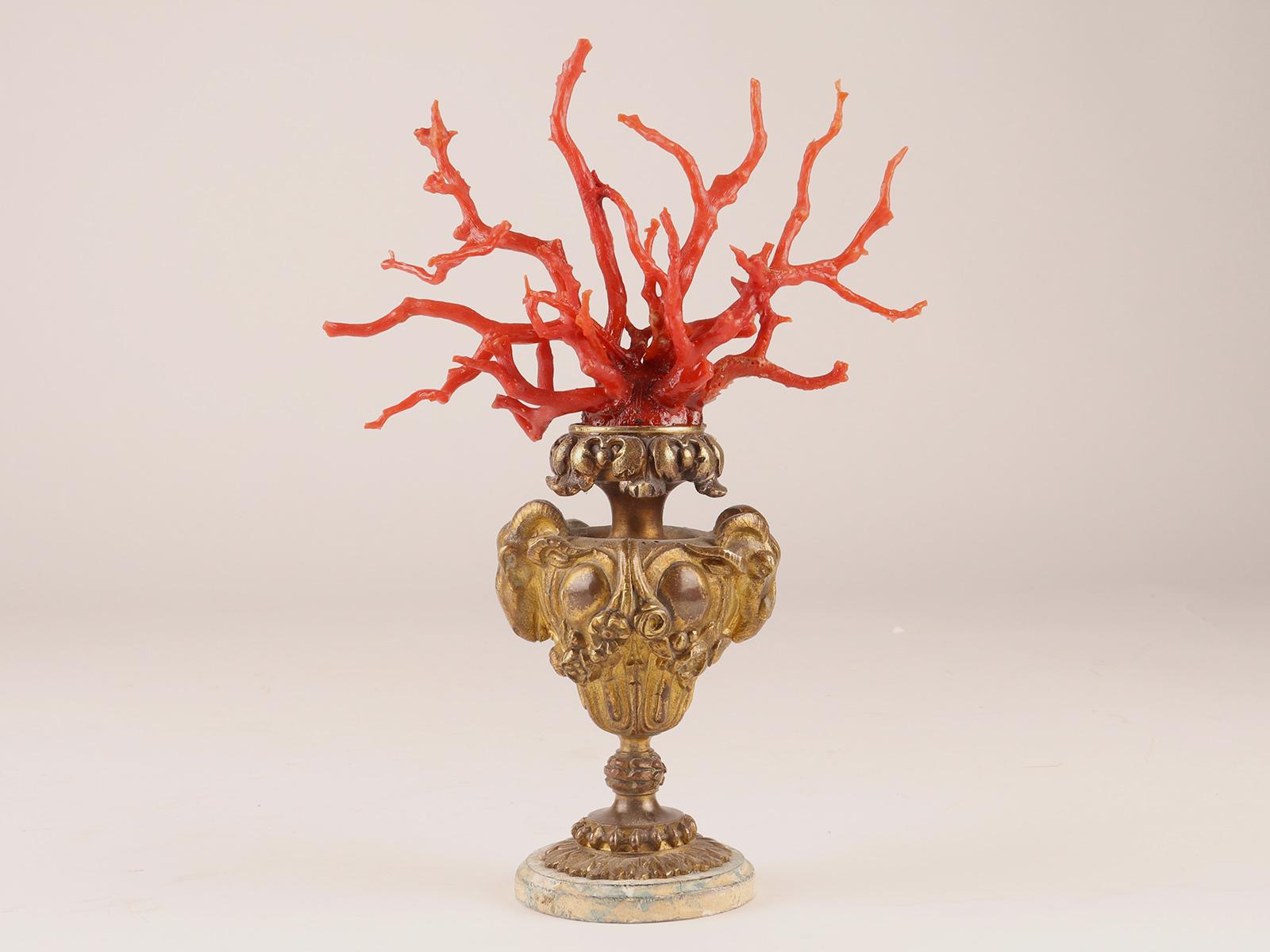 Pair of Coral Branches from Wunderkammer, Italy, 1870 For Sale 5