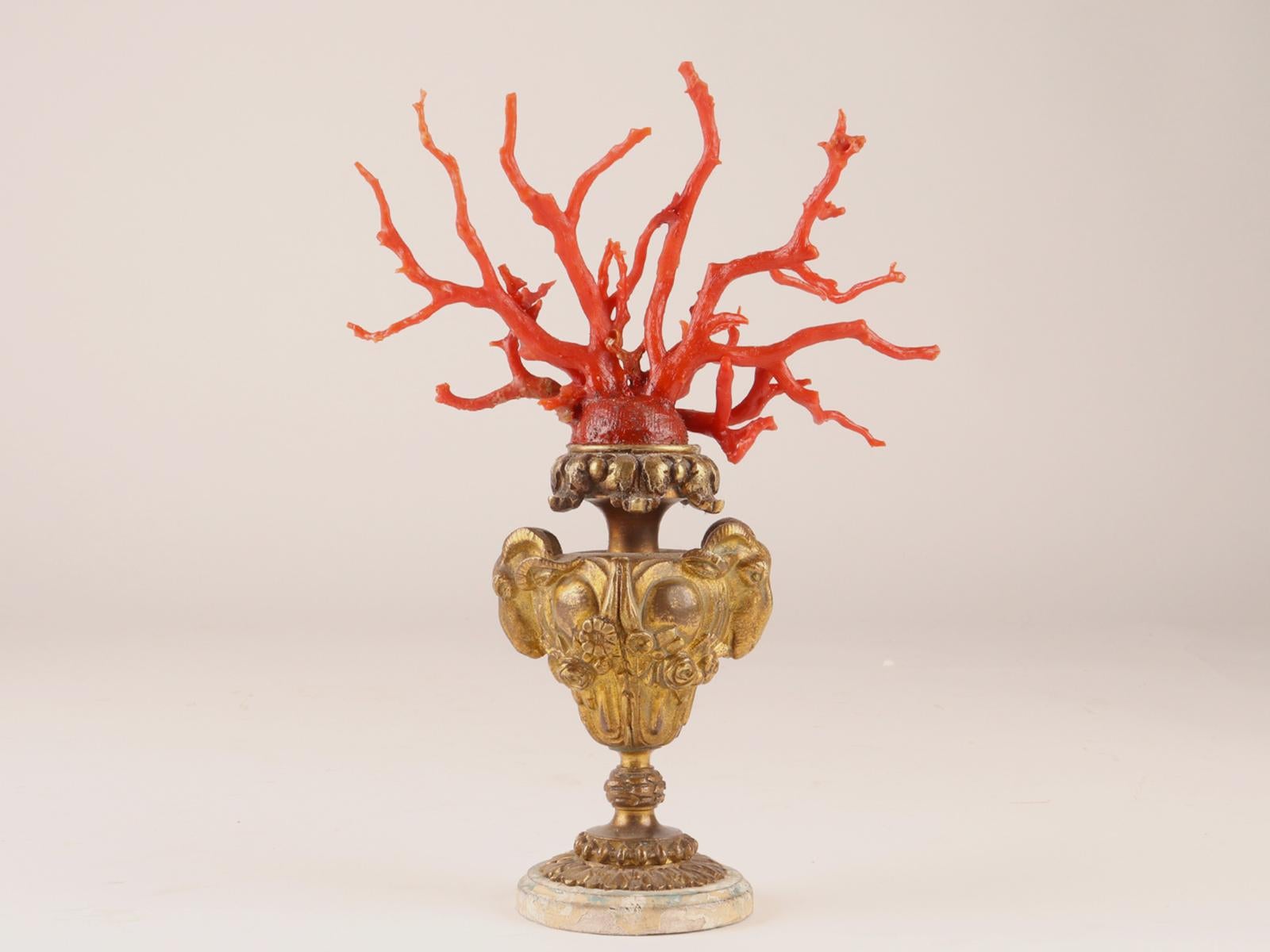 Pair of Coral Branches from Wunderkammer, Italy, 1870 For Sale 7