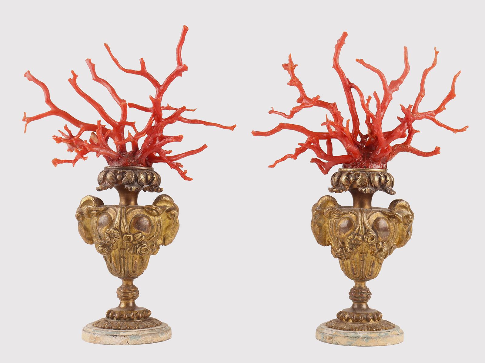 Ein Paar Zweige der roten Mittelmeerkoralle 'Corallium Rubrum', montiert auf einem Sockel aus vergoldeter Bronze. Bei der Herstellung der Sockel kommen verschiedene Techniken zum Einsatz: das Wachsausschmelzverfahren, der Hammer und der Meißel. Der