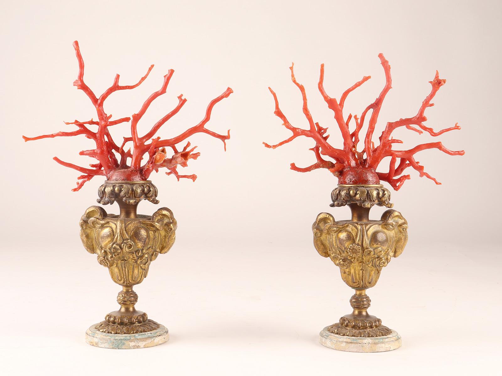Italian Pair of Coral Branches from Wunderkammer, Italy, 1870 For Sale