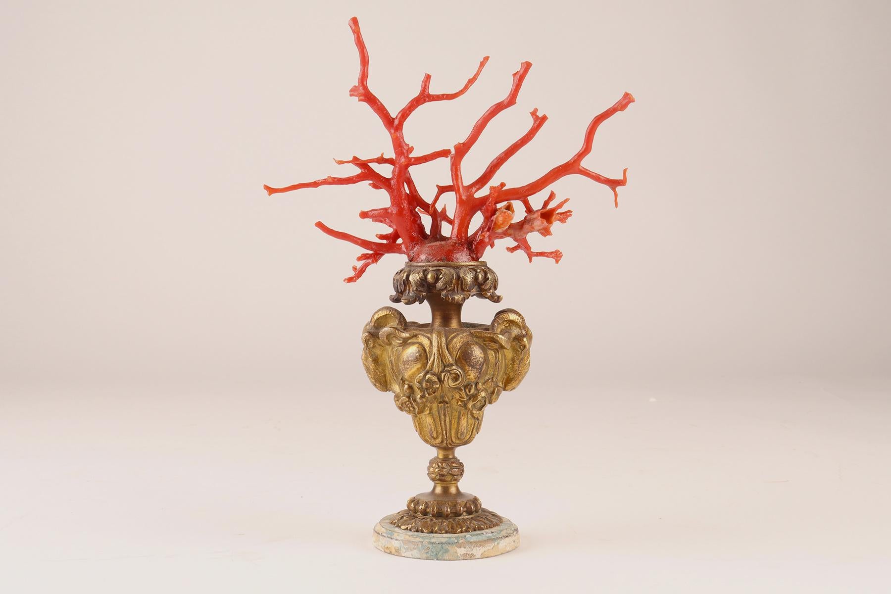 Pair of Coral Branches from Wunderkammer, Italy, 1870 For Sale 1