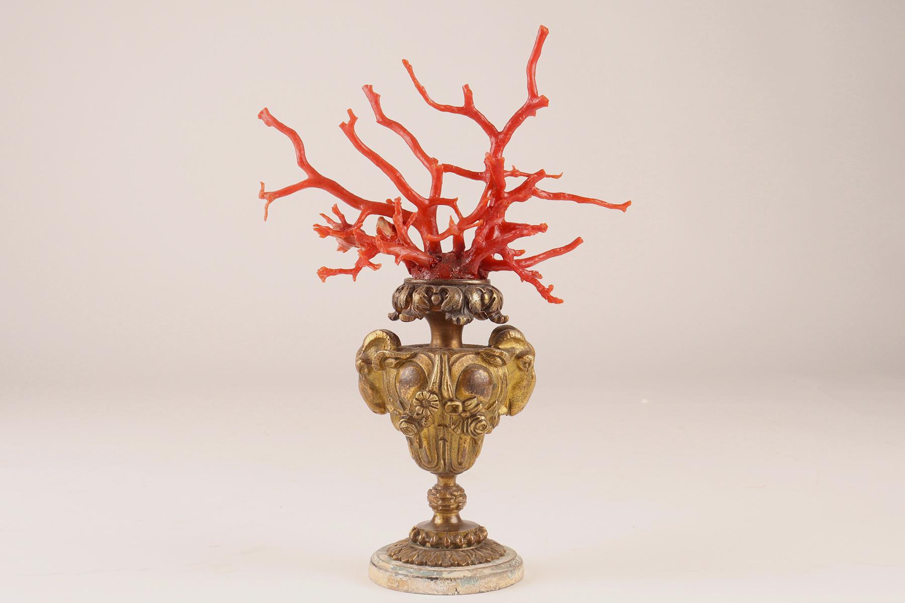 Pair of Coral Branches from Wunderkammer, Italy, 1870 For Sale 2