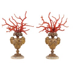 Antique Pair of Coral Branches from Wunderkammer, Italy, 1870