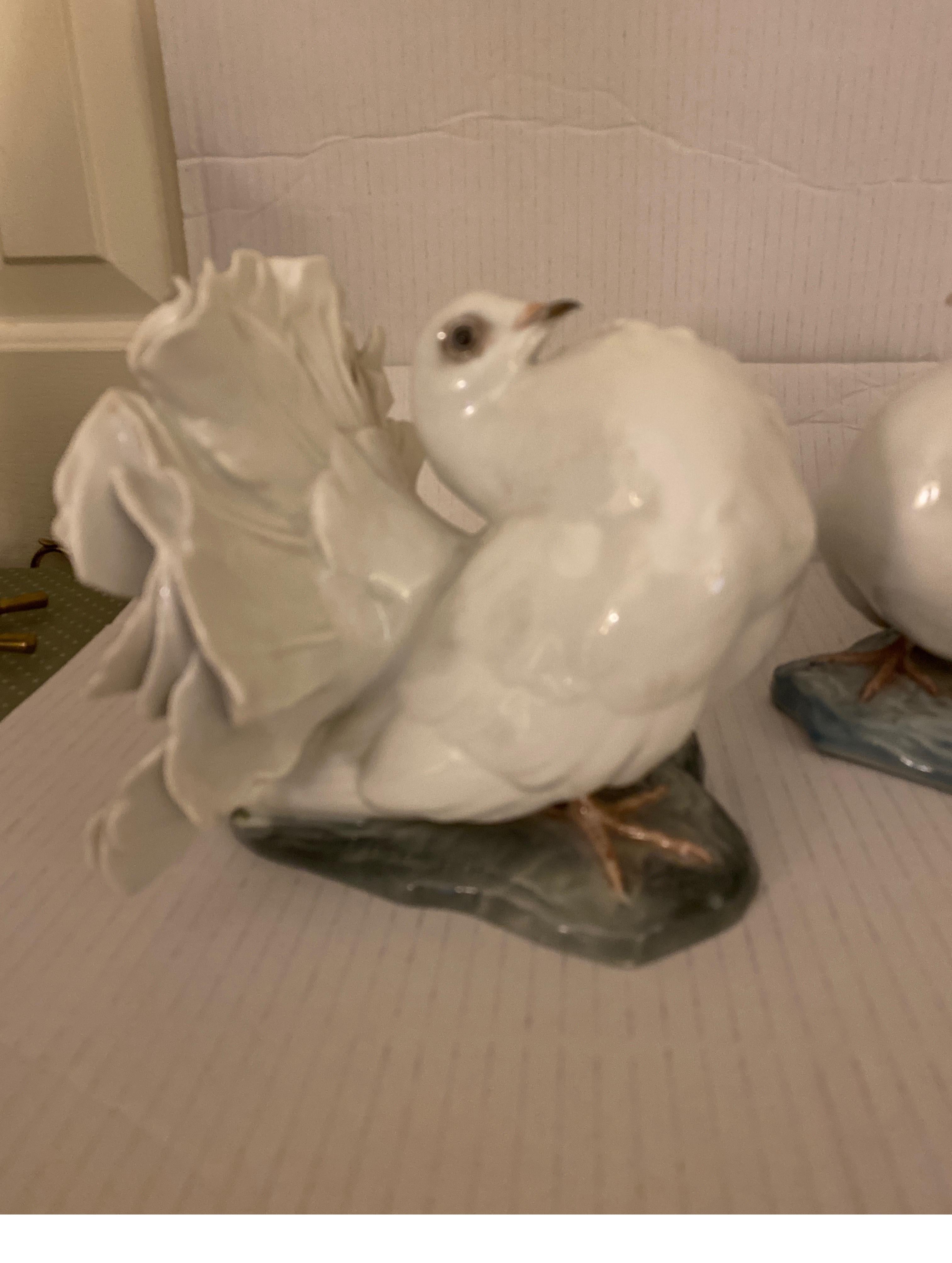 A pair of white porcelain doves by Rosenthal, by artist designer Fritz. Heidenreich. Know for his beautiful sculptures of birds and animals, most of these were designed i the 1930's The larger dove withe the puffed chest and fanned feathers is the