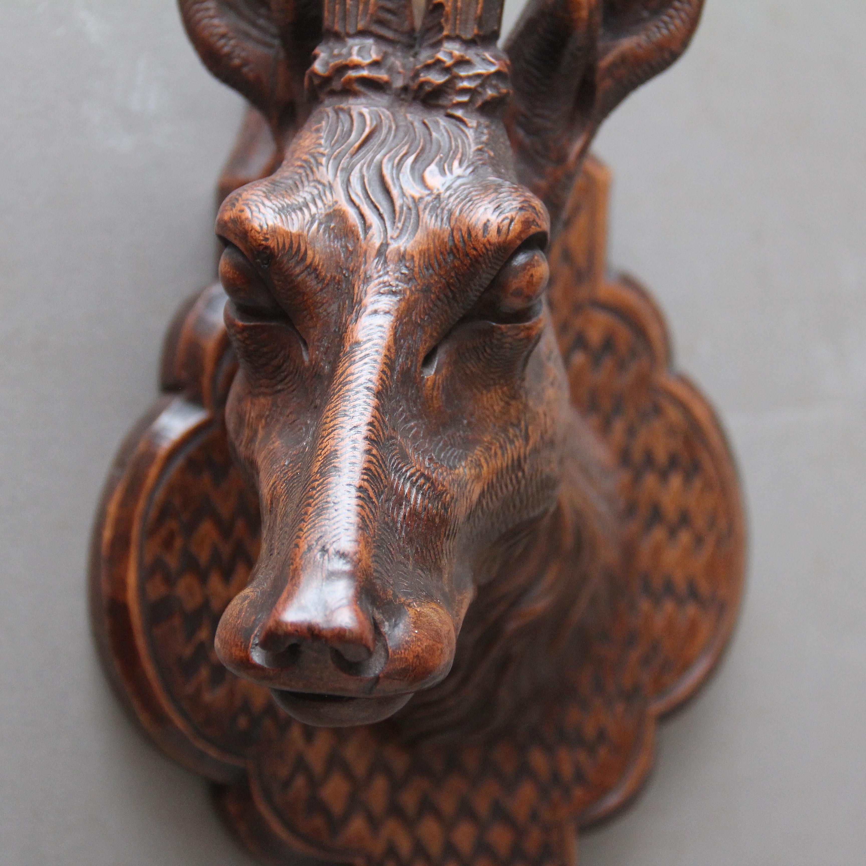 A pair of 19th Century carved walnut black forest deer heads, mounted on decorative shaped and engraved plaques, lovely crisp carving and both heads are in excellent condition, when they are hung they are angled facing each other.  Lovely colour and
