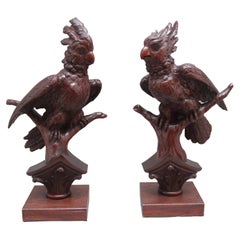 A pair of decorative 19th Century carved walnut parakeets 