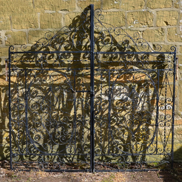 Pair Of Decorative Wrought Iron Gates At 1stdibs