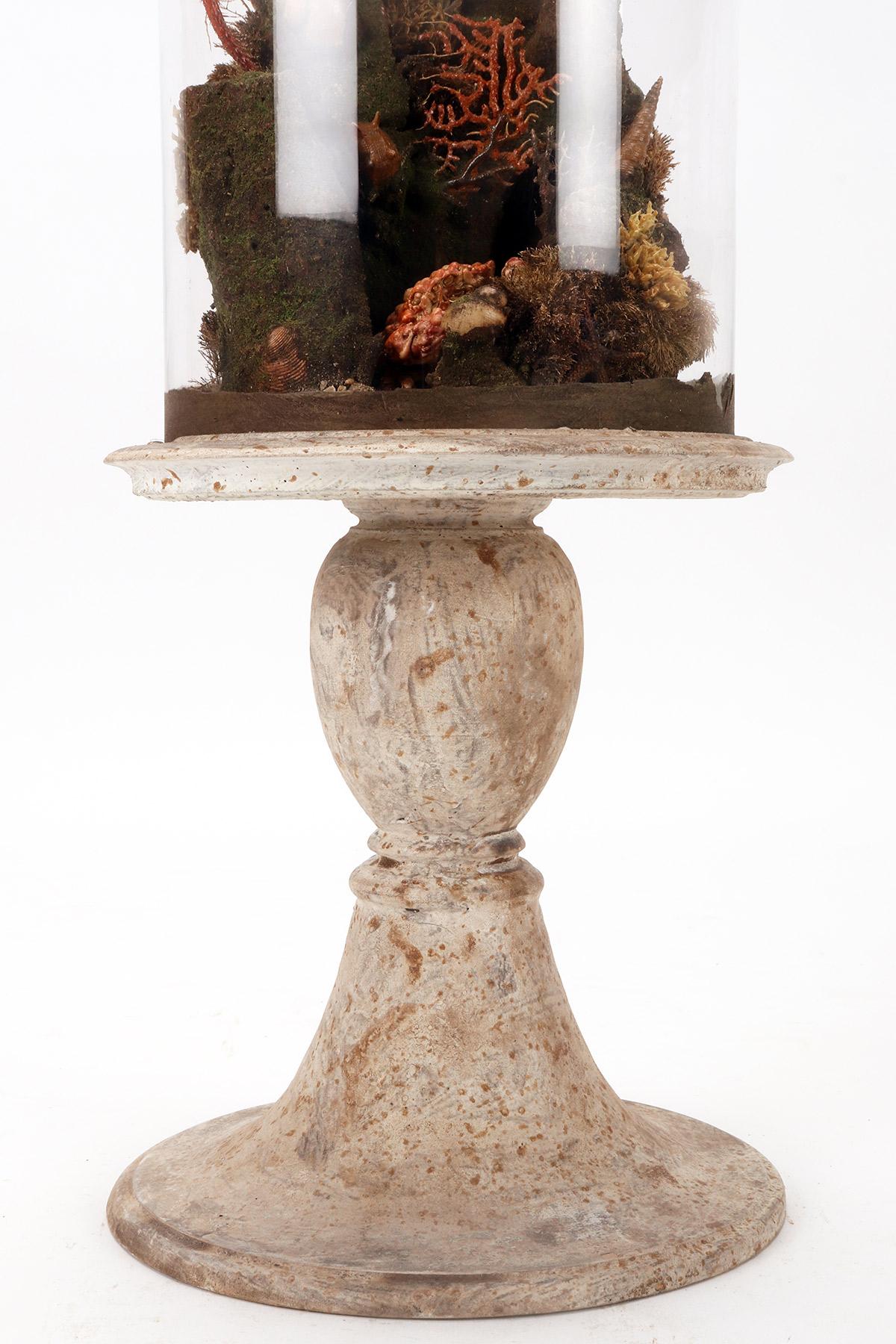 A pair of diorama with hermit crabs, Italy 1870.  For Sale 12