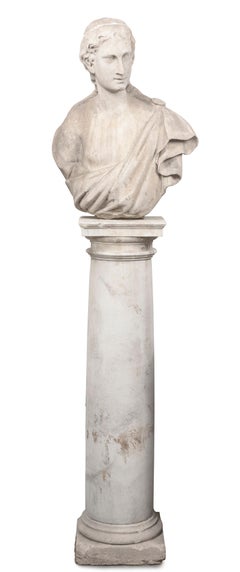 Pair of Early 19th Century Female Busts on Columnar Plinths