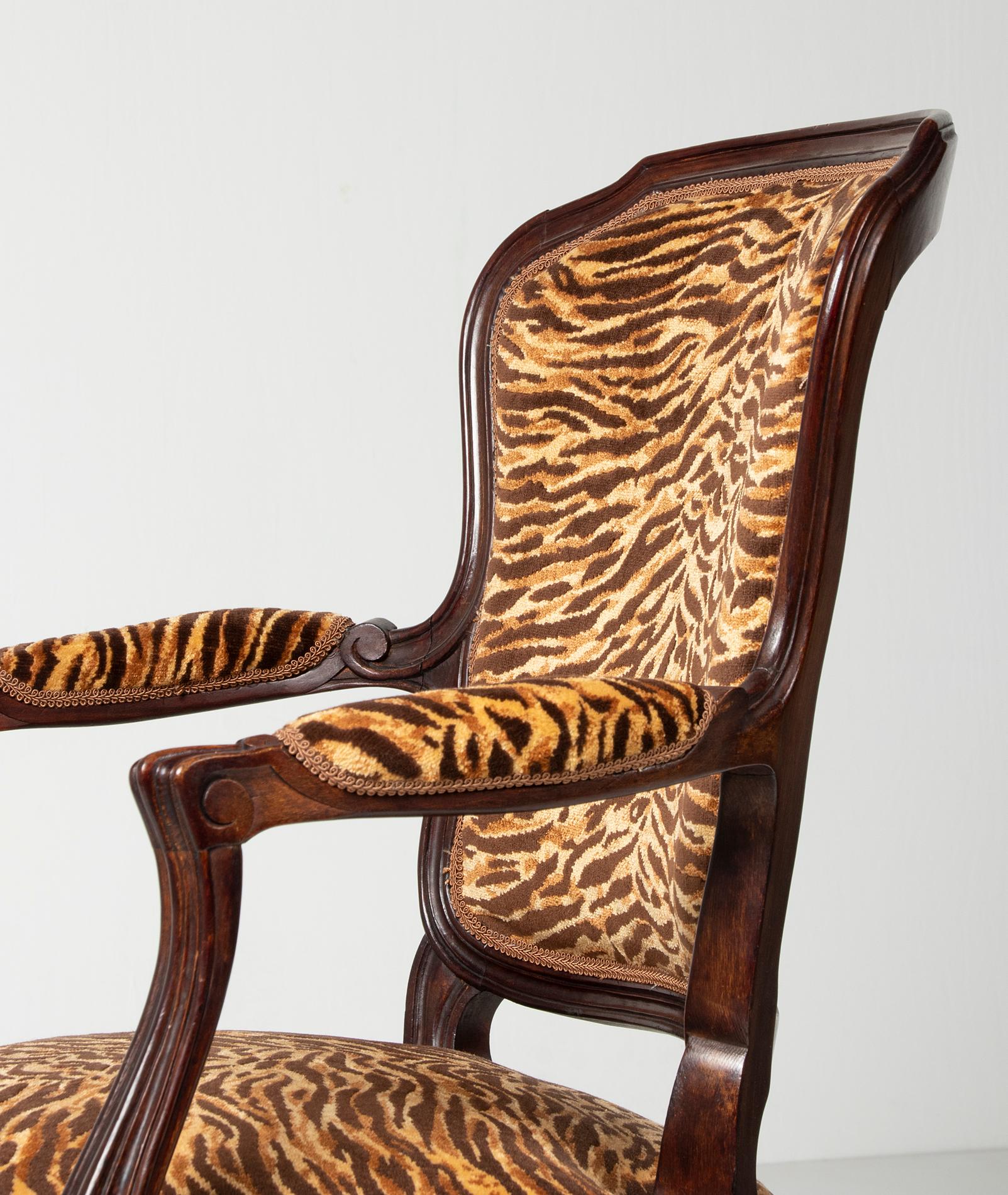 Pair of Early 20th Century French Cabriolet Arm Chairs with Tiger Print Fabric 6