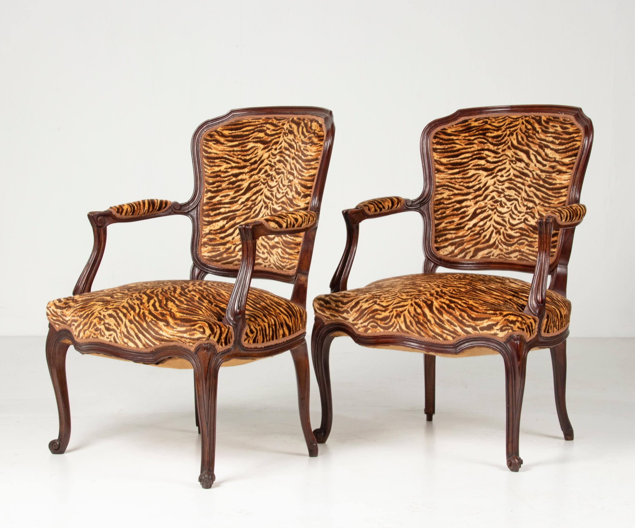 Two charming French 'cabriolet' seats in Louis XV style. The chairs are made of beech wood, circa 1900. The chairs have recently been reupholstered with a tiger print fabric.
The woodwork is beautifully refined, with fine fluting and slightly