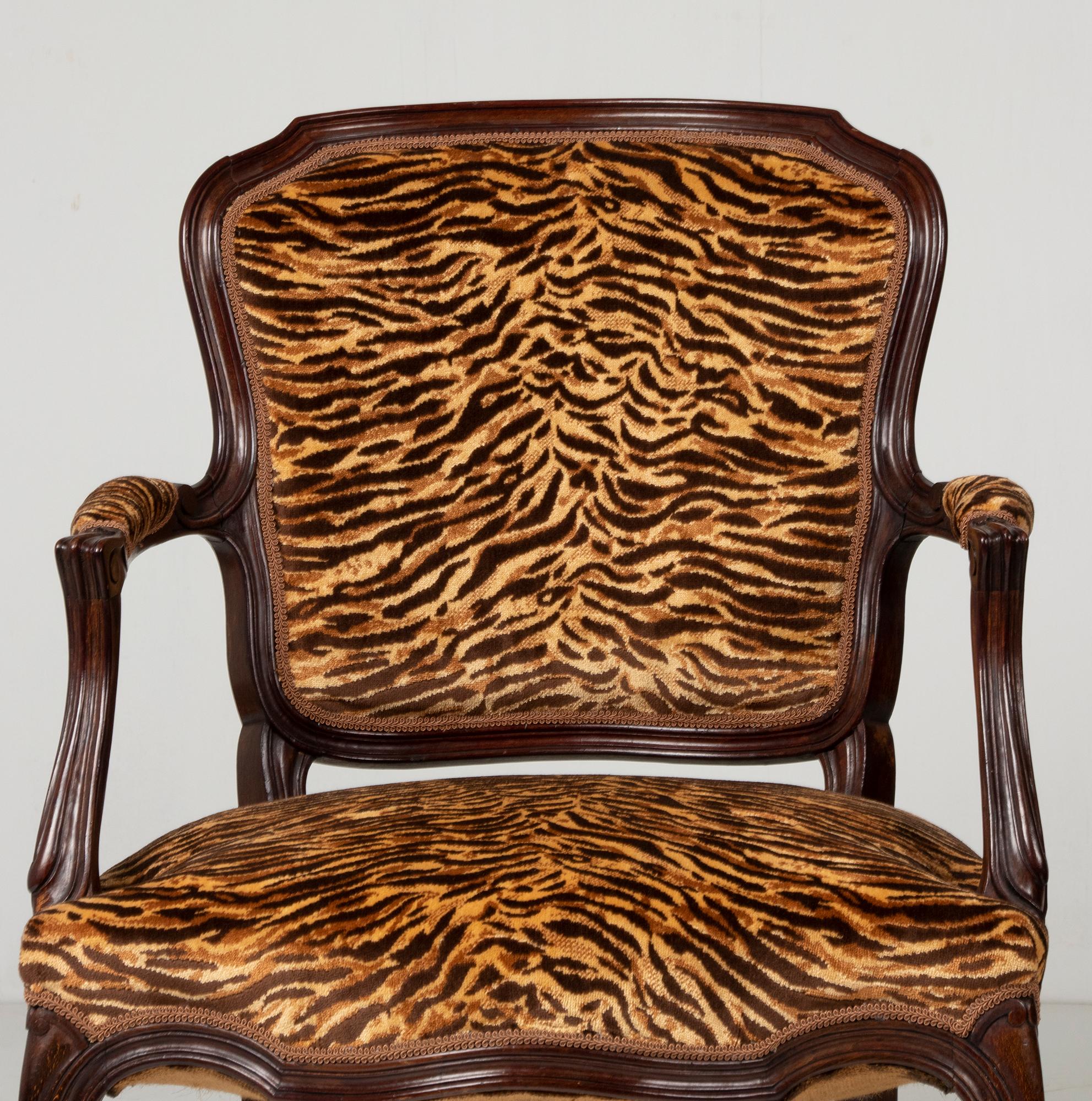 Louis XV Pair of Early 20th Century French Cabriolet Arm Chairs with Tiger Print Fabric