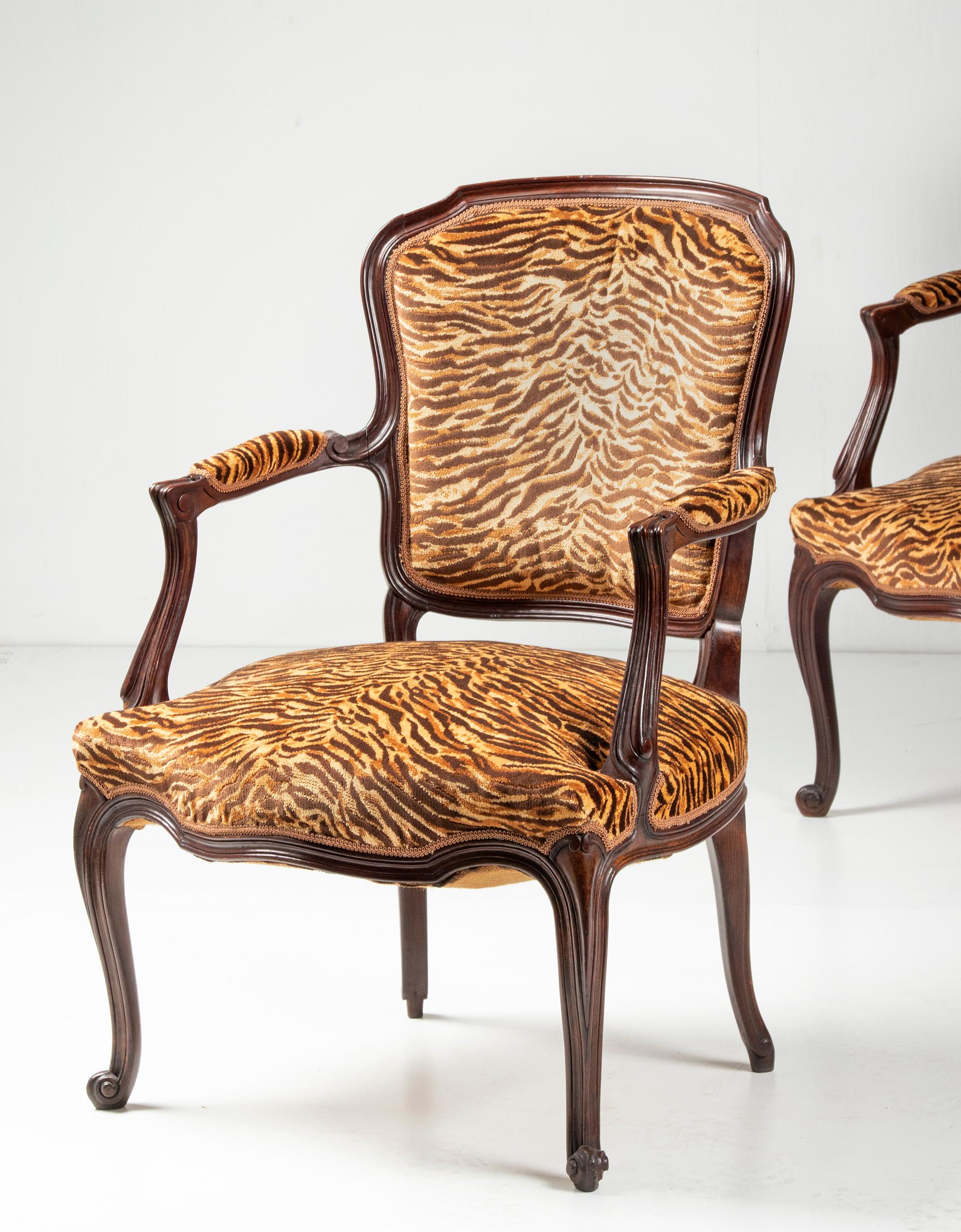 Pair of Early 20th Century French Cabriolet Arm Chairs with Tiger Print Fabric In Good Condition In Casteren, Noord-Brabant