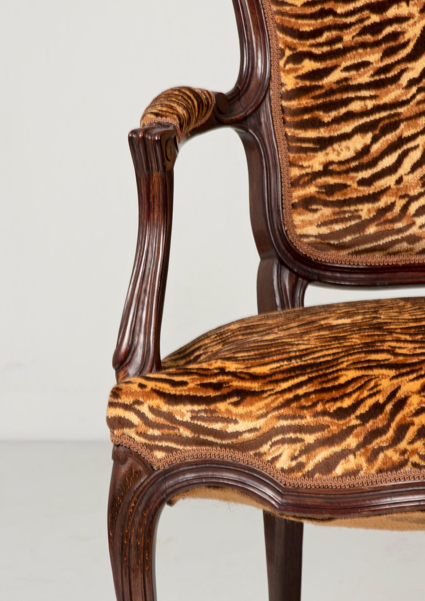 Beech Pair of Early 20th Century French Cabriolet Arm Chairs with Tiger Print Fabric