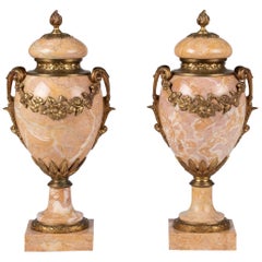 Pair of Early 20th Century French Marble Cassolettes with Bronze Ornaments