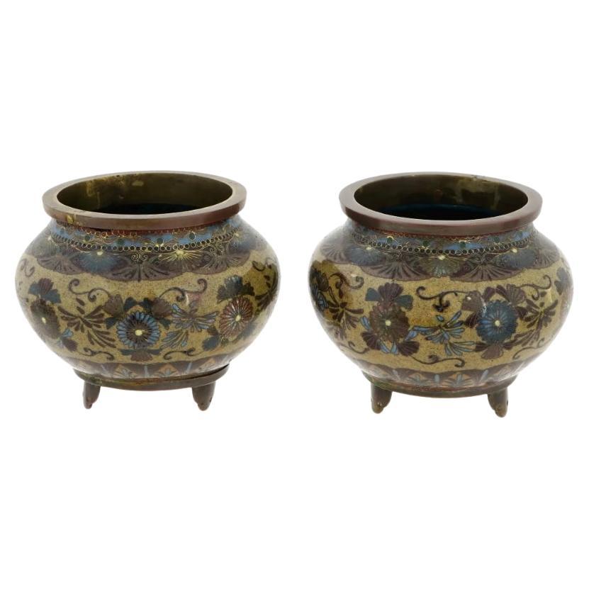A Pair of Early Japanese Cloisonne Enamel Censors Attributed to Honda Yasaburo For Sale