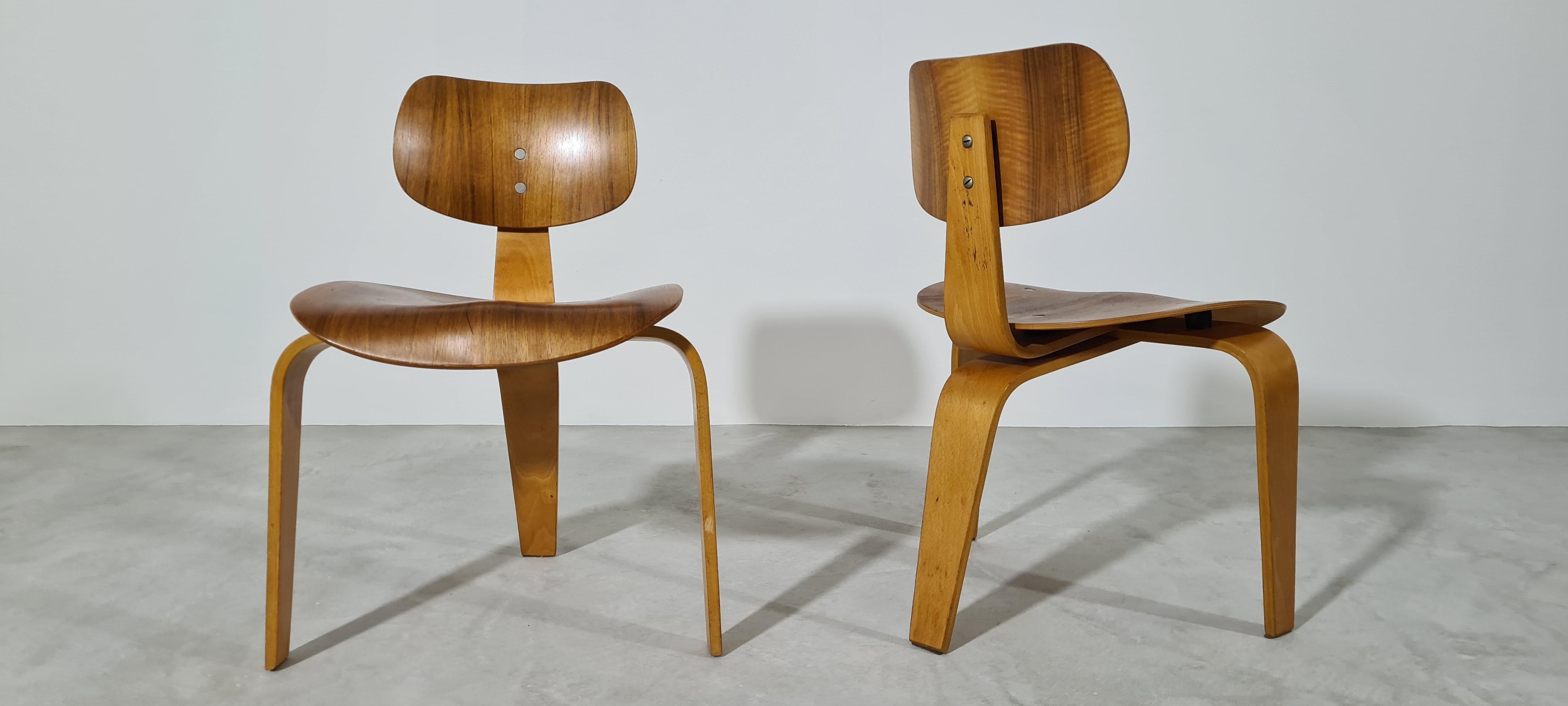Allemand Paire de chaises Egon Eiermann Se 42/Se 3 produites par Wilde & Spieth en 1950 en vente