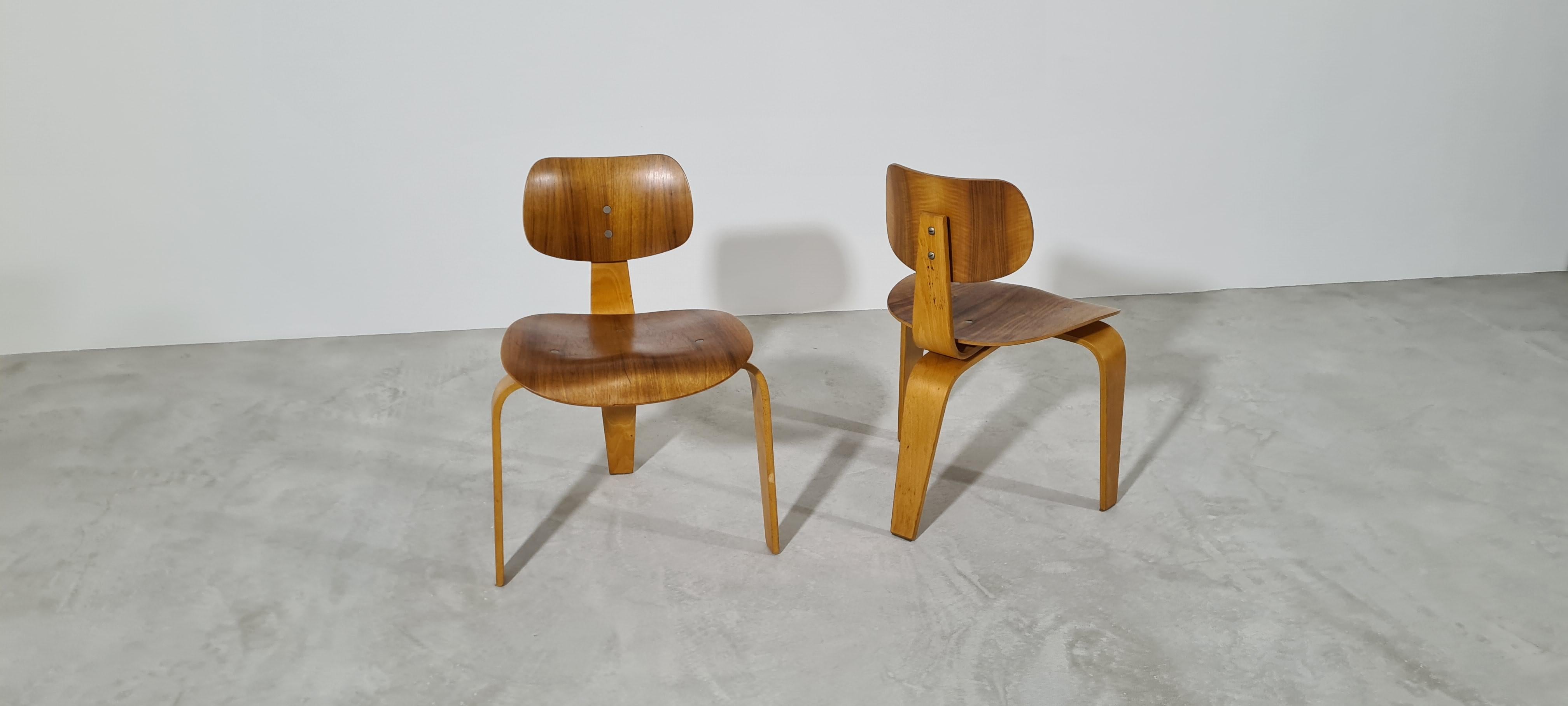 XIXe siècle Paire de chaises Egon Eiermann Se 42/Se 3 produites par Wilde & Spieth en 1950 en vente