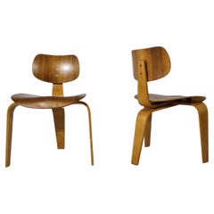 Antique Pair of Egon Eiermann Chairs Se 42/Se 3 produced by Wilde & Spieth in 1950