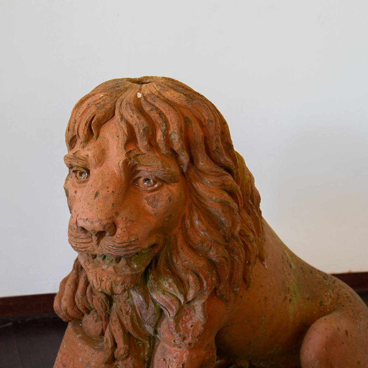 Pair of English 19th Century Terracotta Lions 8