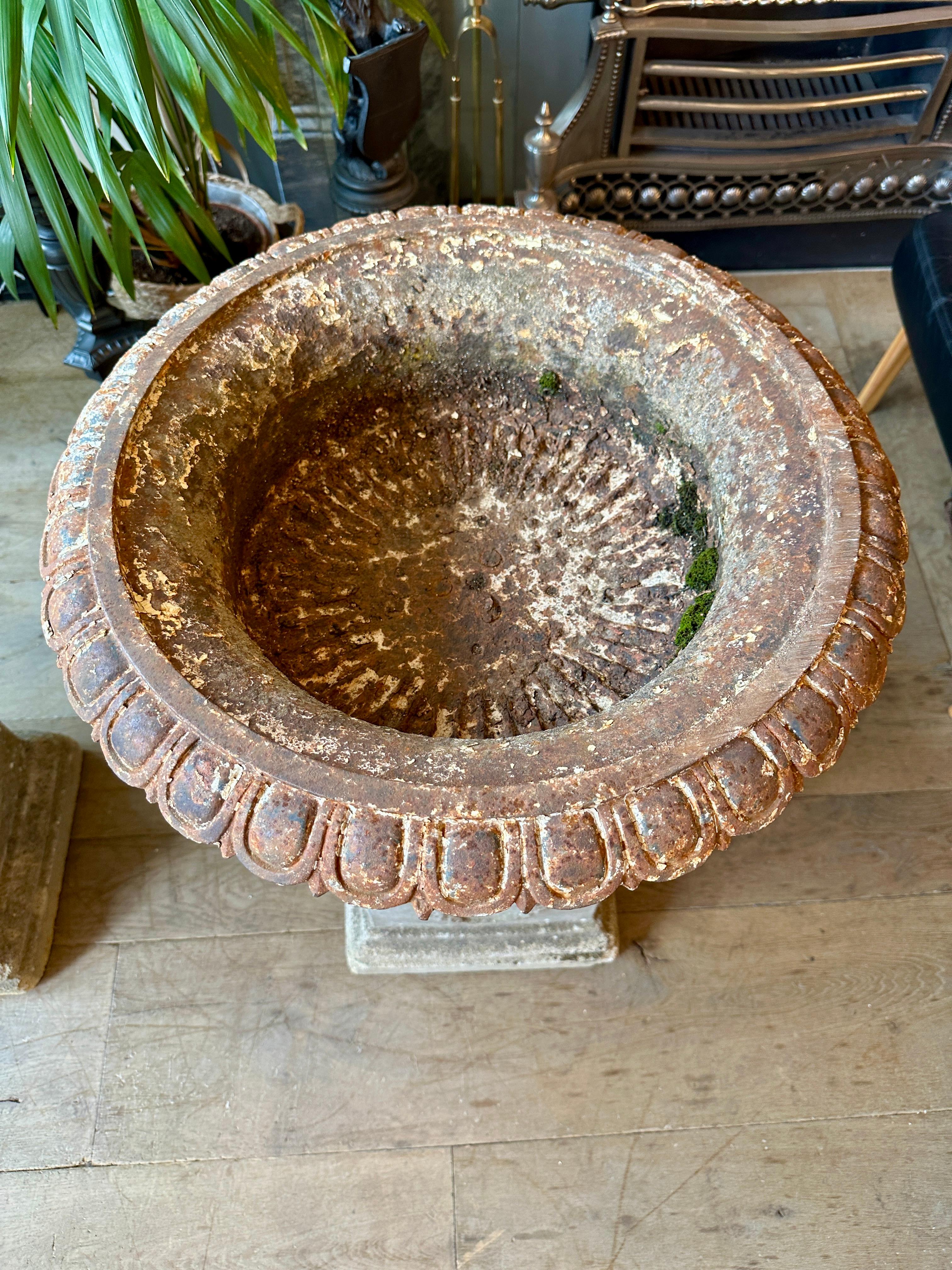 A Pair Of  English Cast Iron Tazza Urns By Andrew Handyside For Sale 2