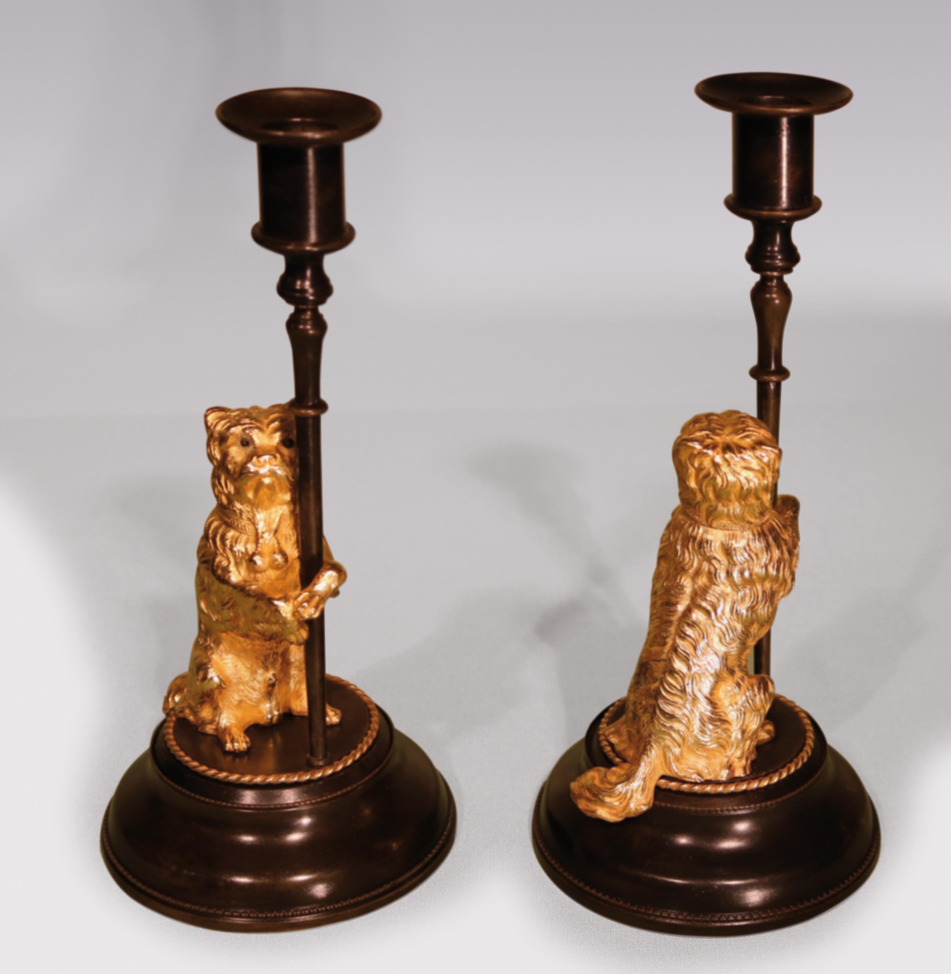 A pair of mid 19th century bronze & ormolu candlesticks in the form of well-cast standing dogs with engine-turned collars, supported on moulded circular bases with beaded decoration.