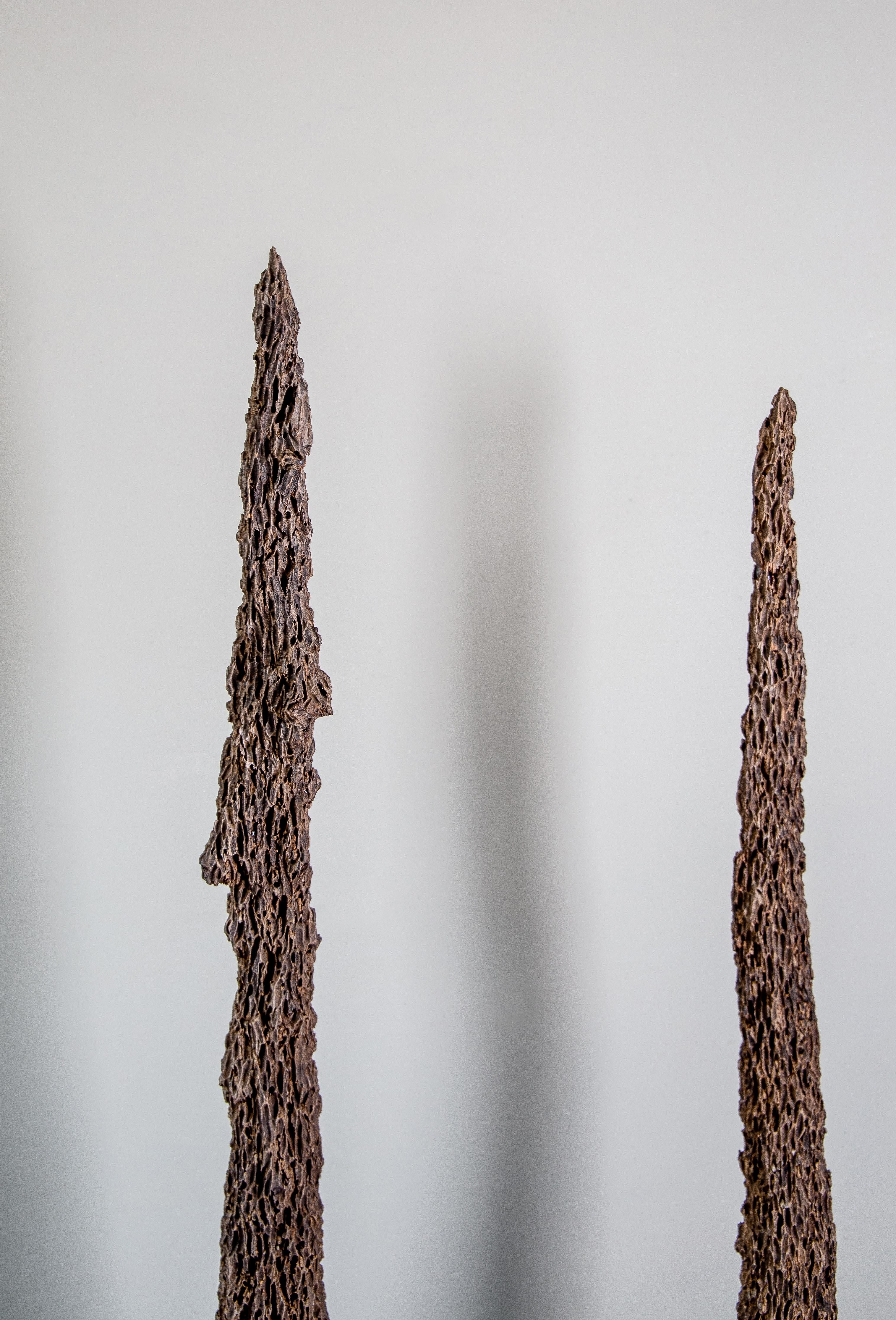 French Pair of Eroded Cedar Mussel Poles